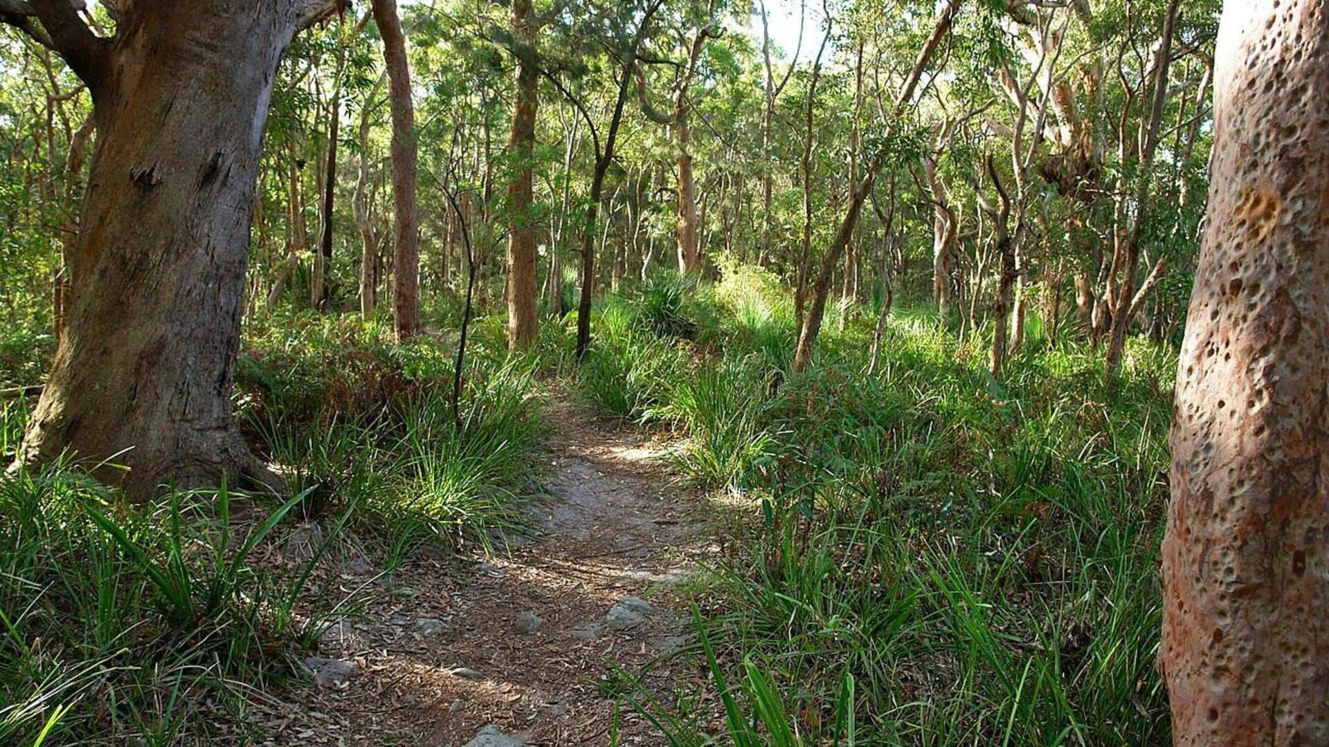 Menyusuri Rute-Rute Pesisir Sydney yang Indah
