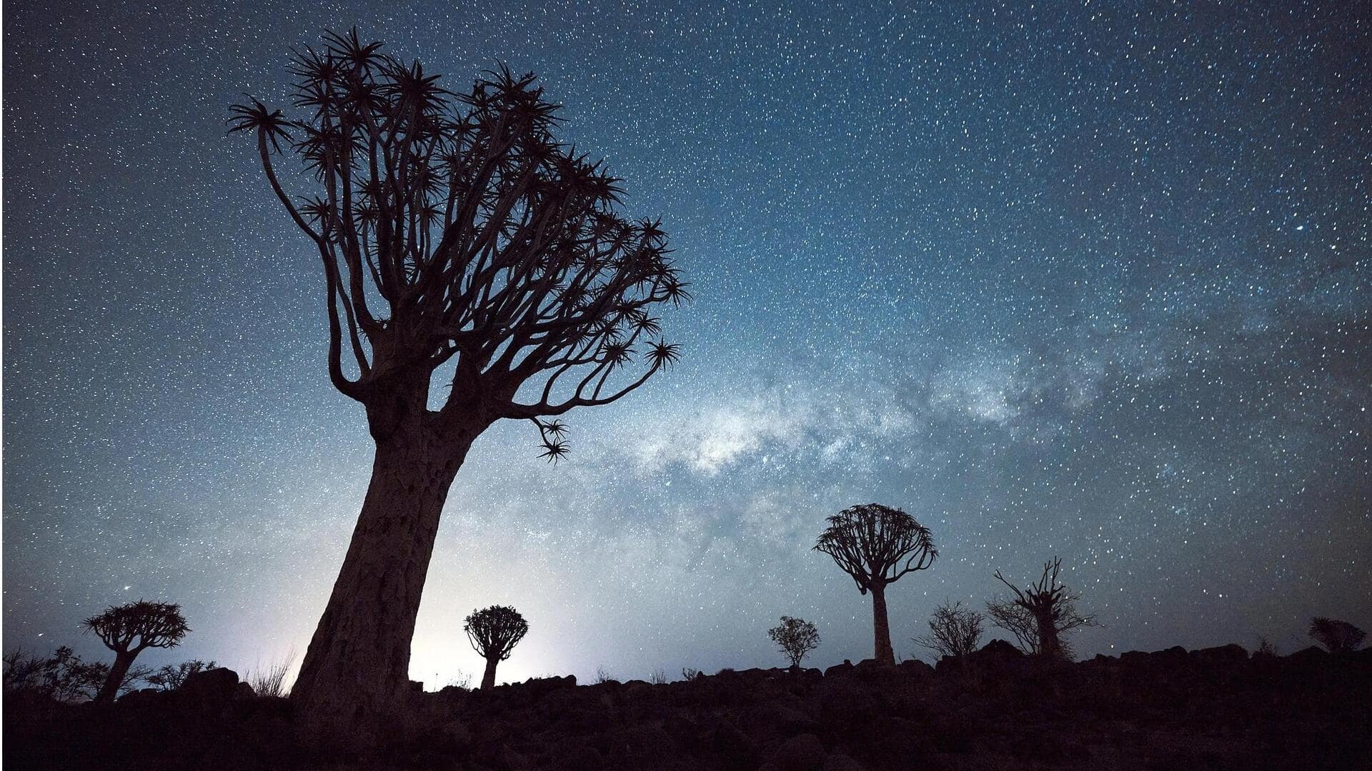 Teknik Sederhana dalam Menciptakan Fotografi Siluet Malam
