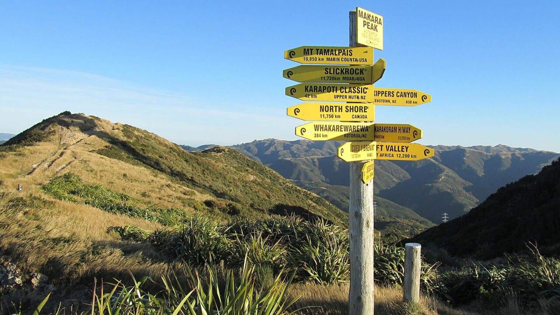 Jalur-Jalur Alam Terbaik di Wellington
