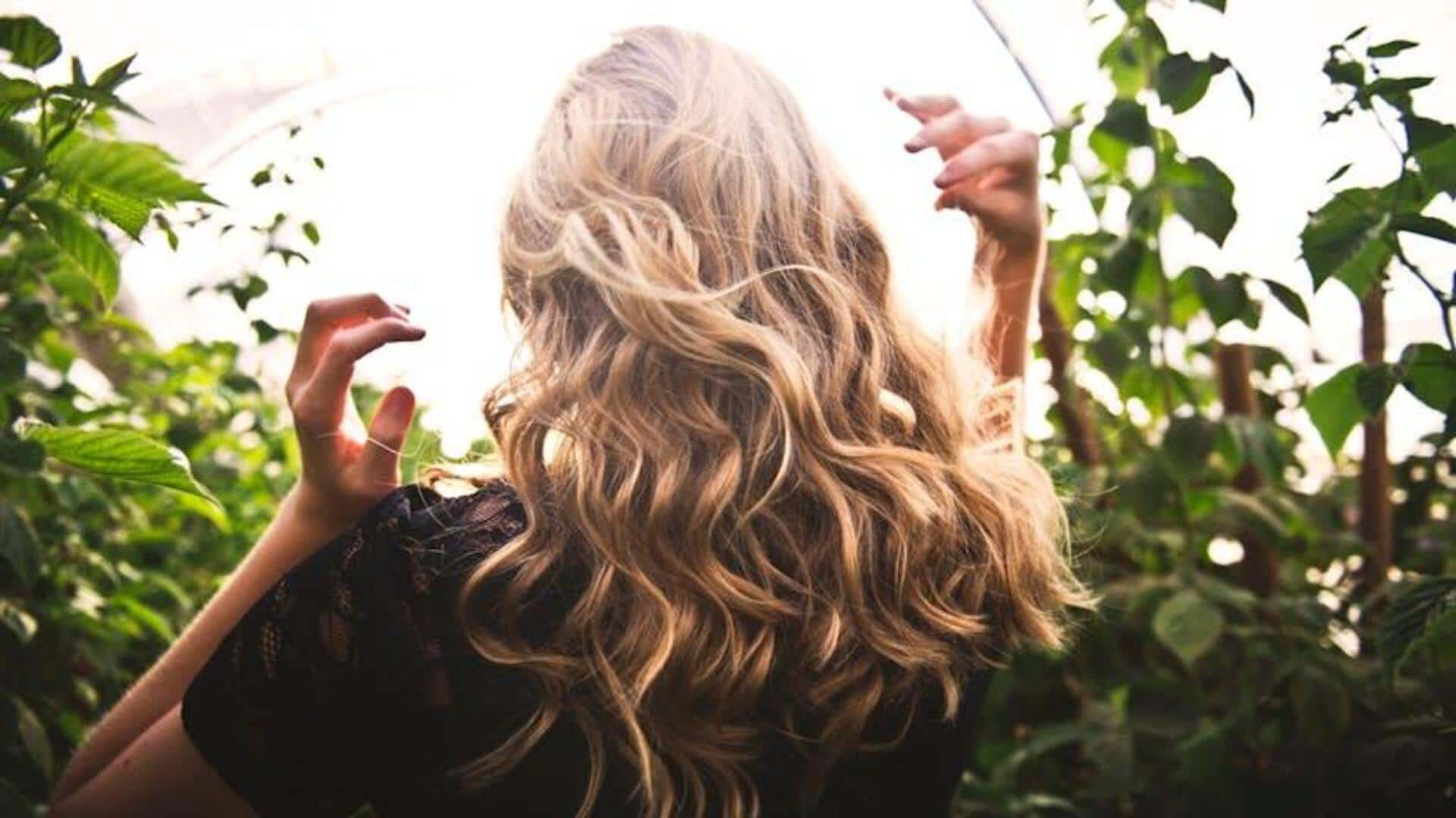 Menguasai Gaya Rambut: Tips dan Inspirasi Menguasai Gaya Rambut: Tips dan Inspirasi