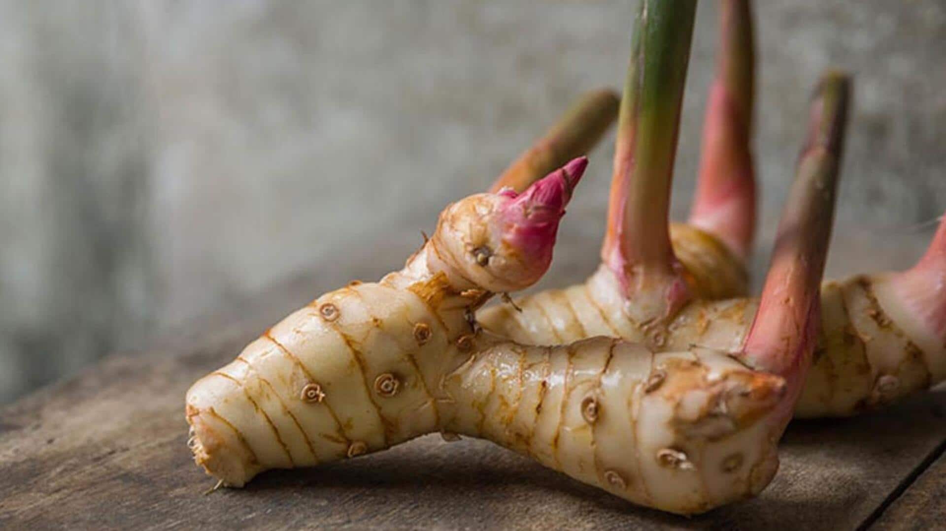 Lima Resep Unik Berbasis Rimpang Lengkuas dari Dapur Indonesia