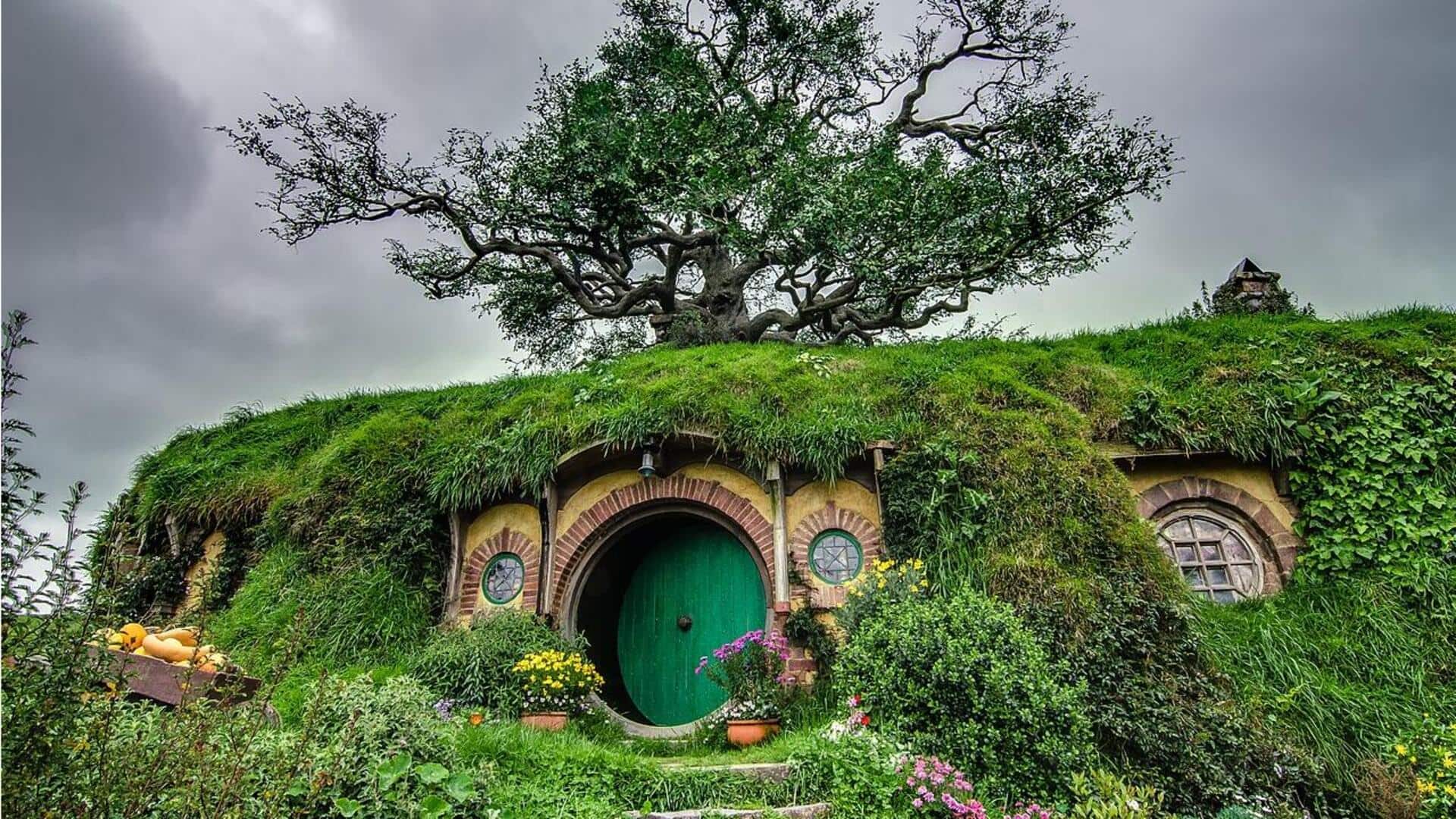 Tempat-Tempat yang Wajib Dikunjungi di Hobbiton Selandia Baru