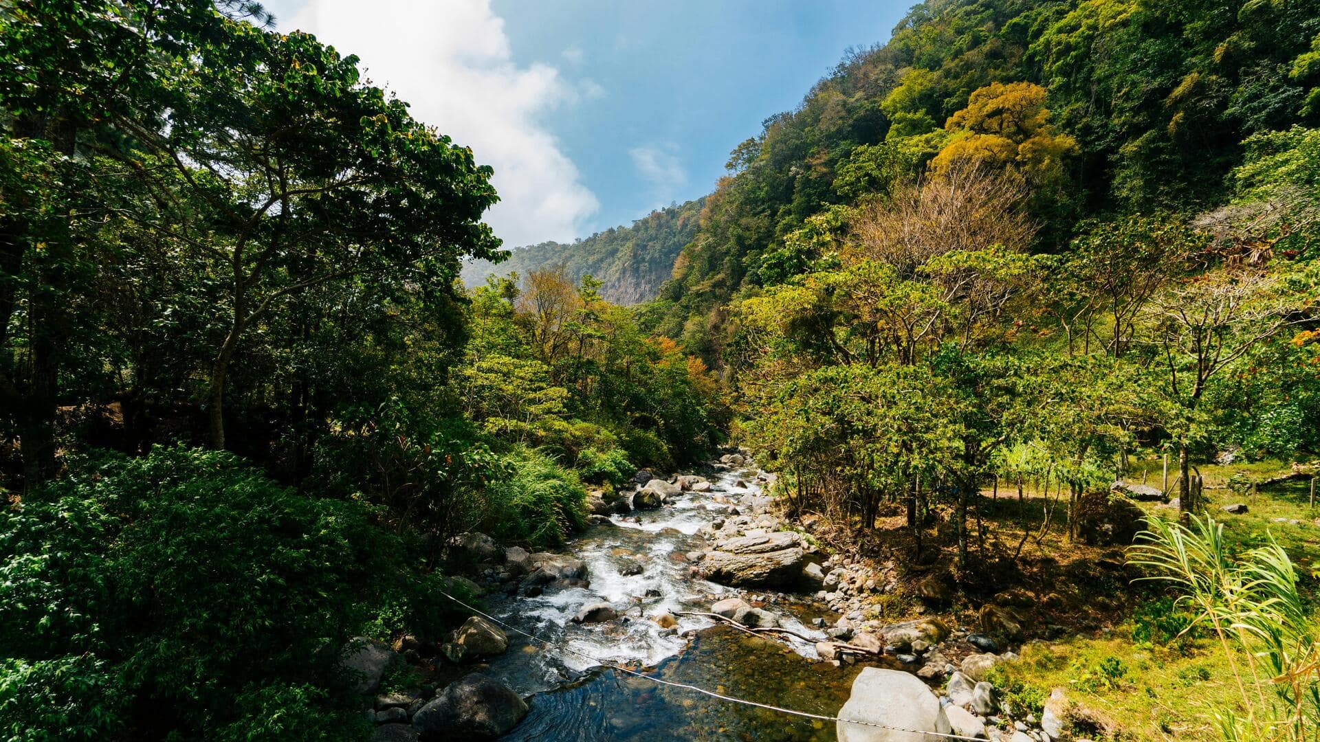 Menjelajahi Perkebunan Kopi di Boquete, Panama