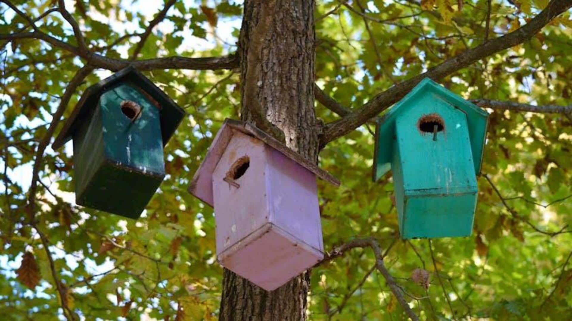 Ubah Furnitur Lama Menjadi Rumah Burung Unik Ubah Furnitur Lama Menjadi Rumah Burung Unik
