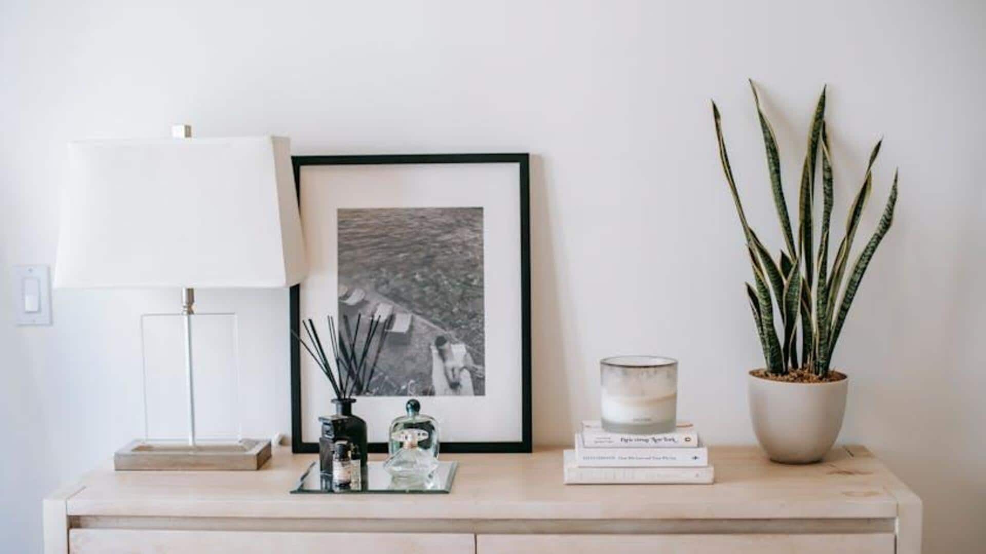 Lima Tanaman Hias Terbaik untuk Iklim Indonesia yang Lembap