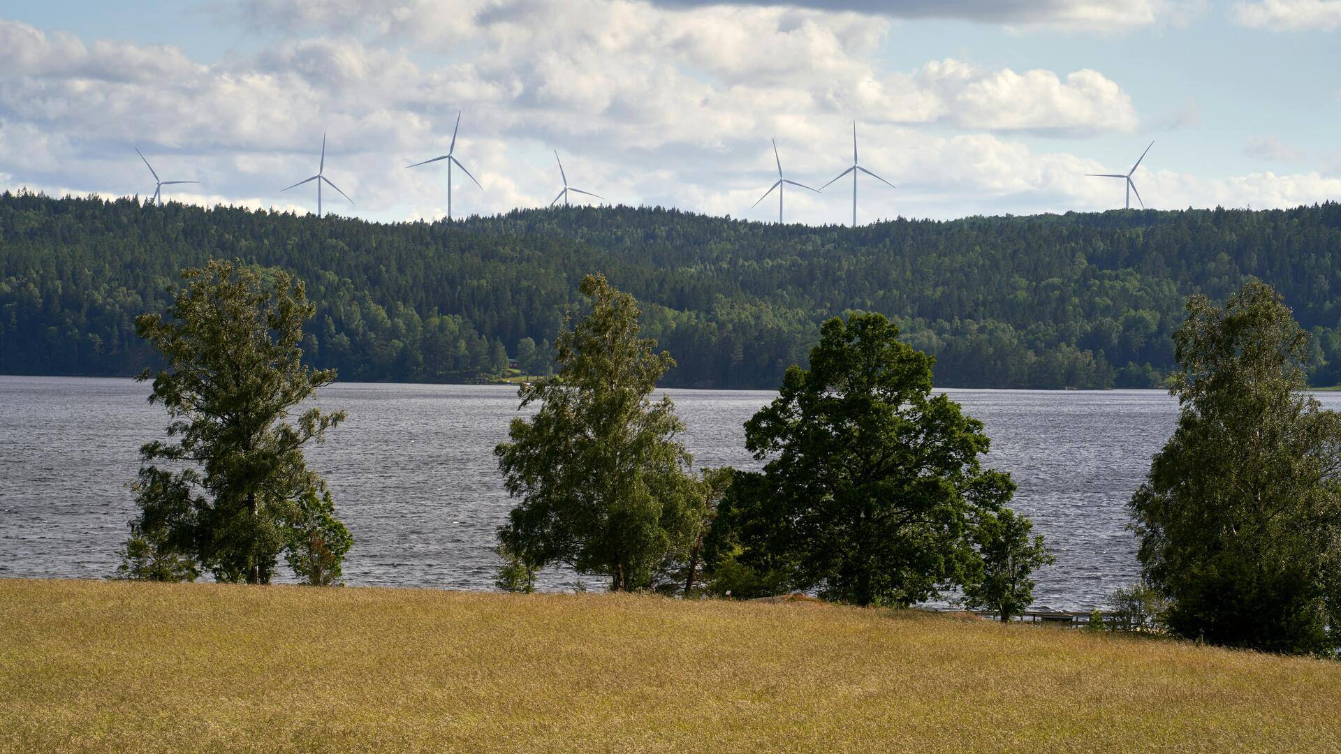 Fakta Menarik tentang Inovasi Teknologi di Berbagai Negara