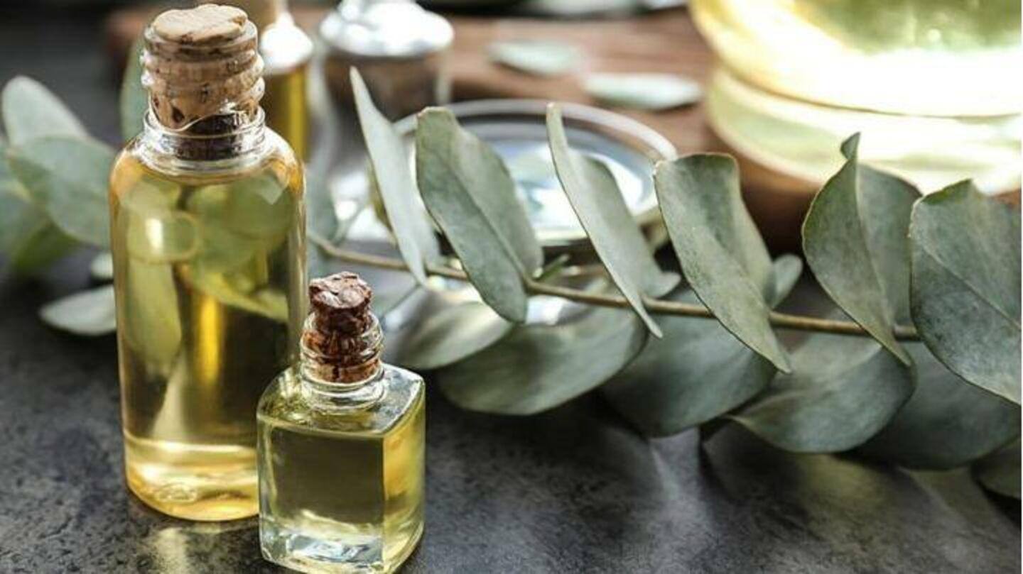 #HealthBytes: Berikut adalah manfaat kesehatan yang mengejutkan dari minyak eucalyptus