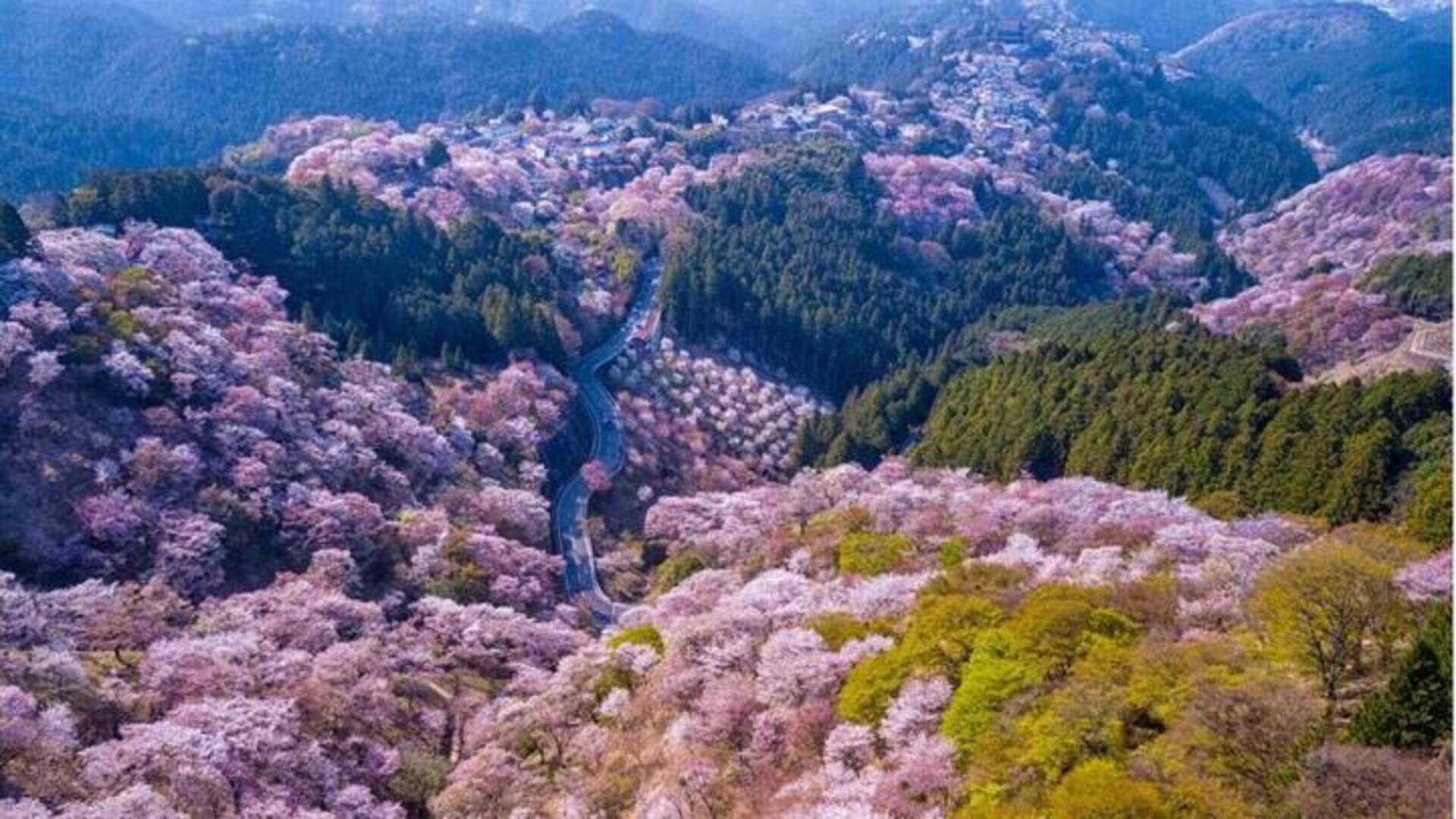 Gunung Yoshino di Jepang: Kunjungi tempat-tempat menakjubkan ini