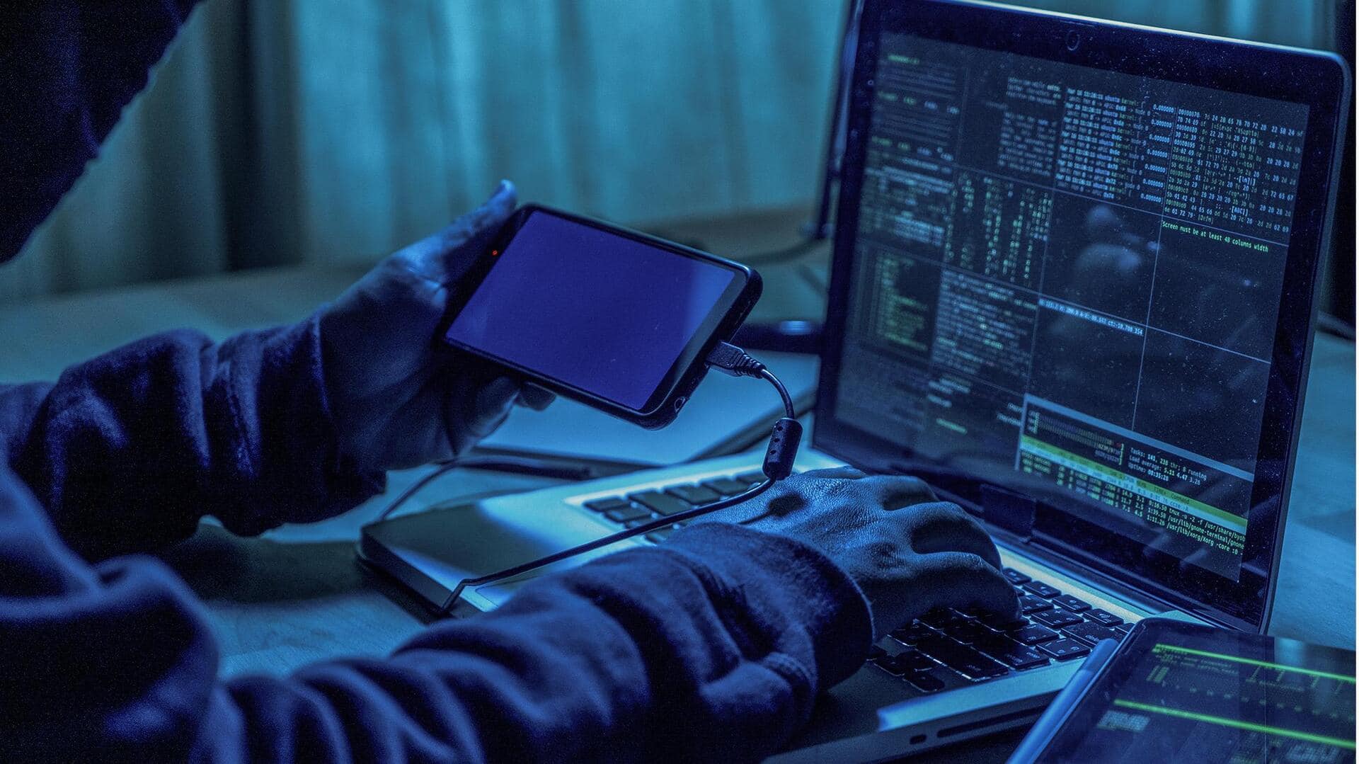 Mempelajari Alam Semesta Digital yang Tak Terduga Mempelajari Alam Semesta Digital yang Tak Terduga