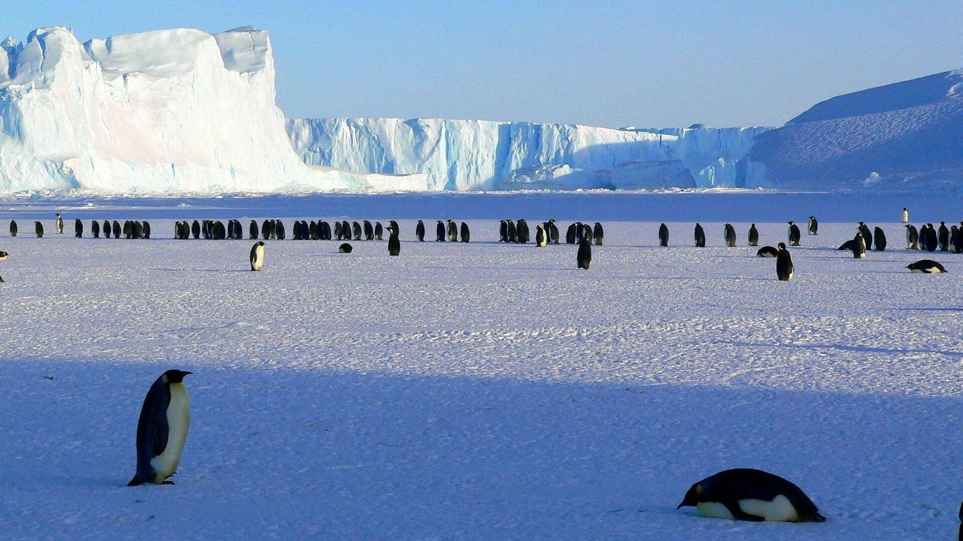 Menjelajahi Keindahan Gletser Pine Island, Antartika