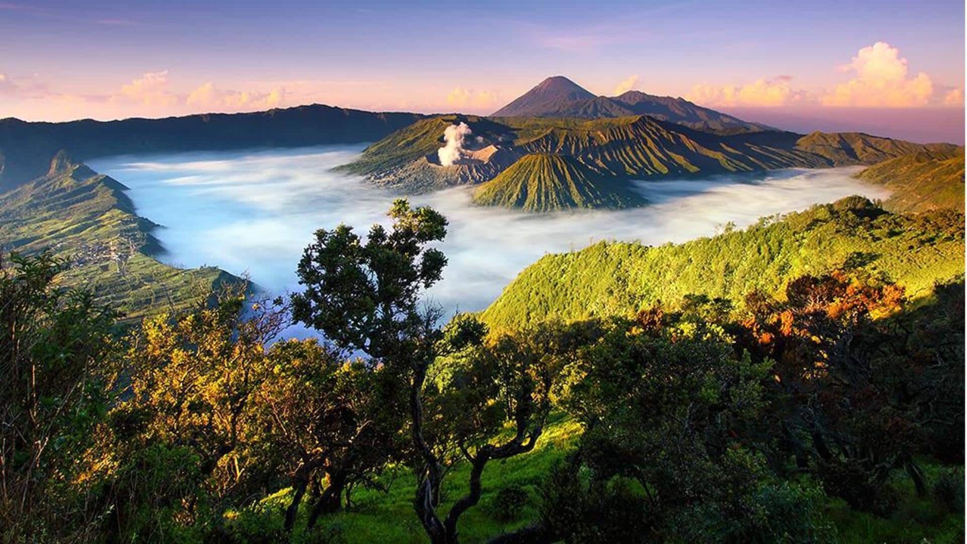 Menikmati Keindahan Hutan di Pulau Jawa Menikmati Keindahan Hutan di Pulau Jawa