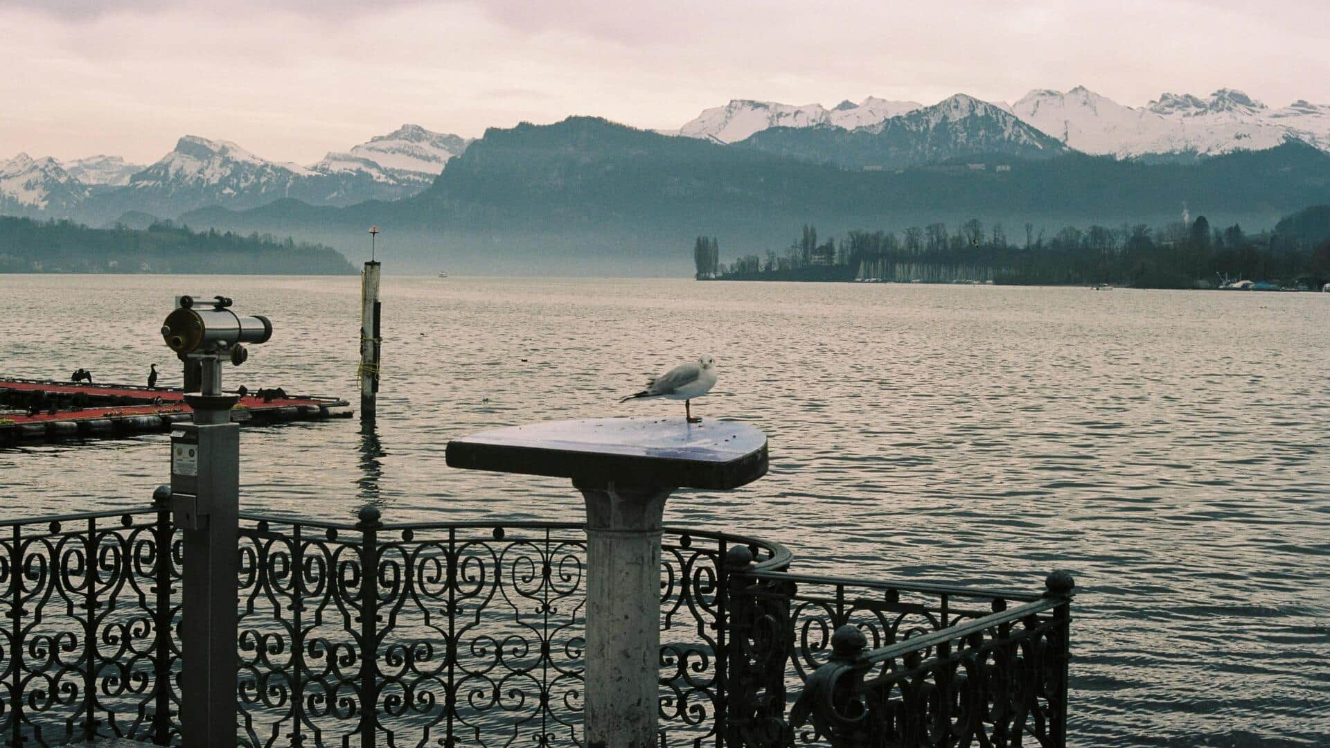 Tempat Tenang di Tepi Danau Zurich