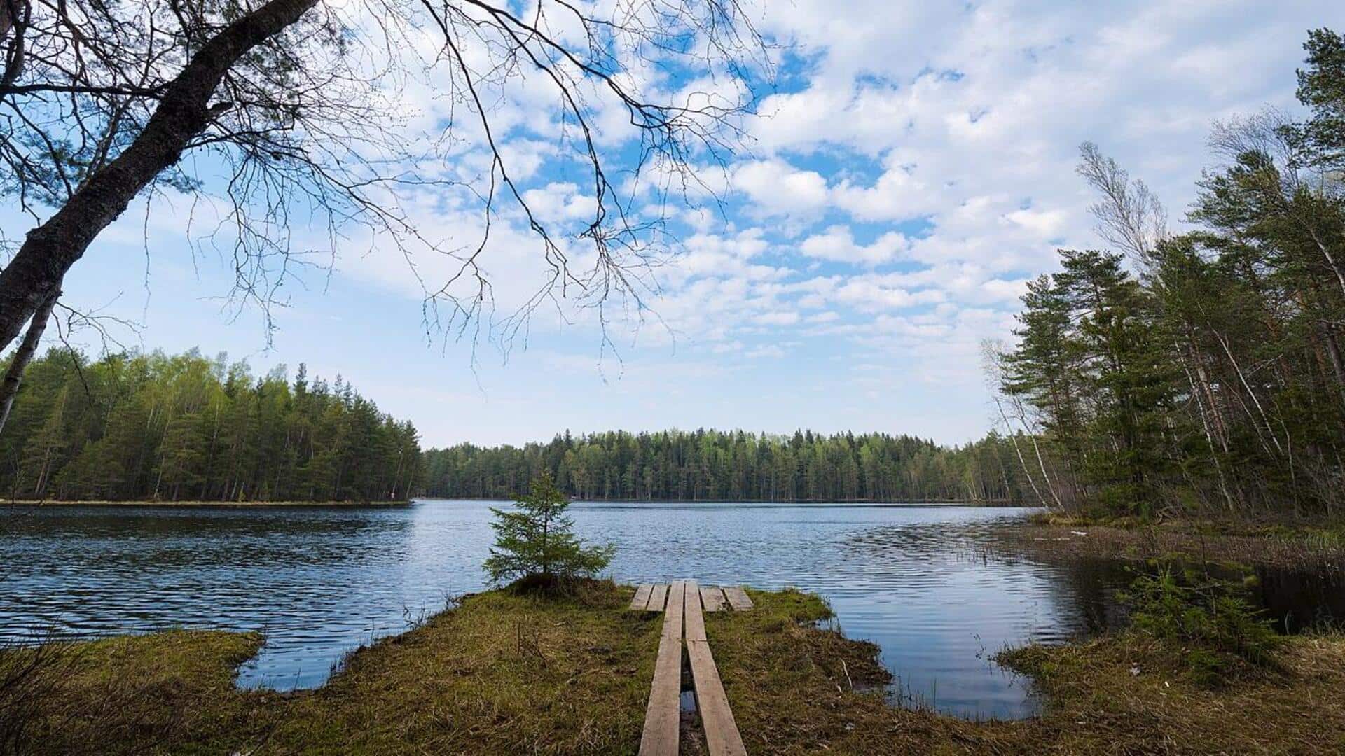 Berjalan Menyusuri Hutan Mistis Finlandia Bersama Pemandu