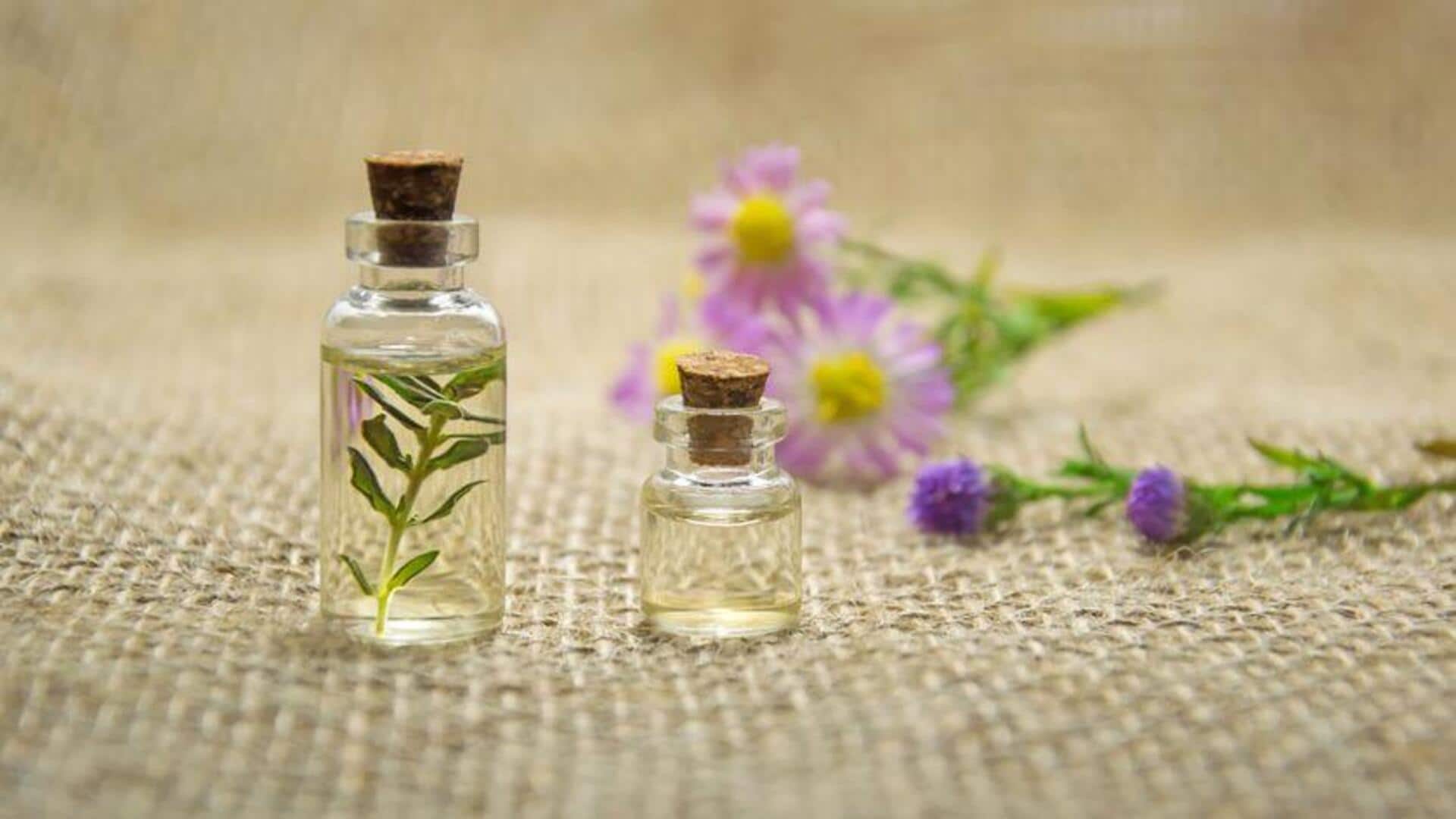 Cara Unik Menggunakan Tanaman Herbal dalam Masakan