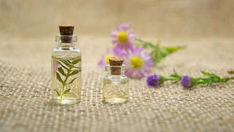 Cara Unik Menggunakan Tanaman Herbal dalam Masakan