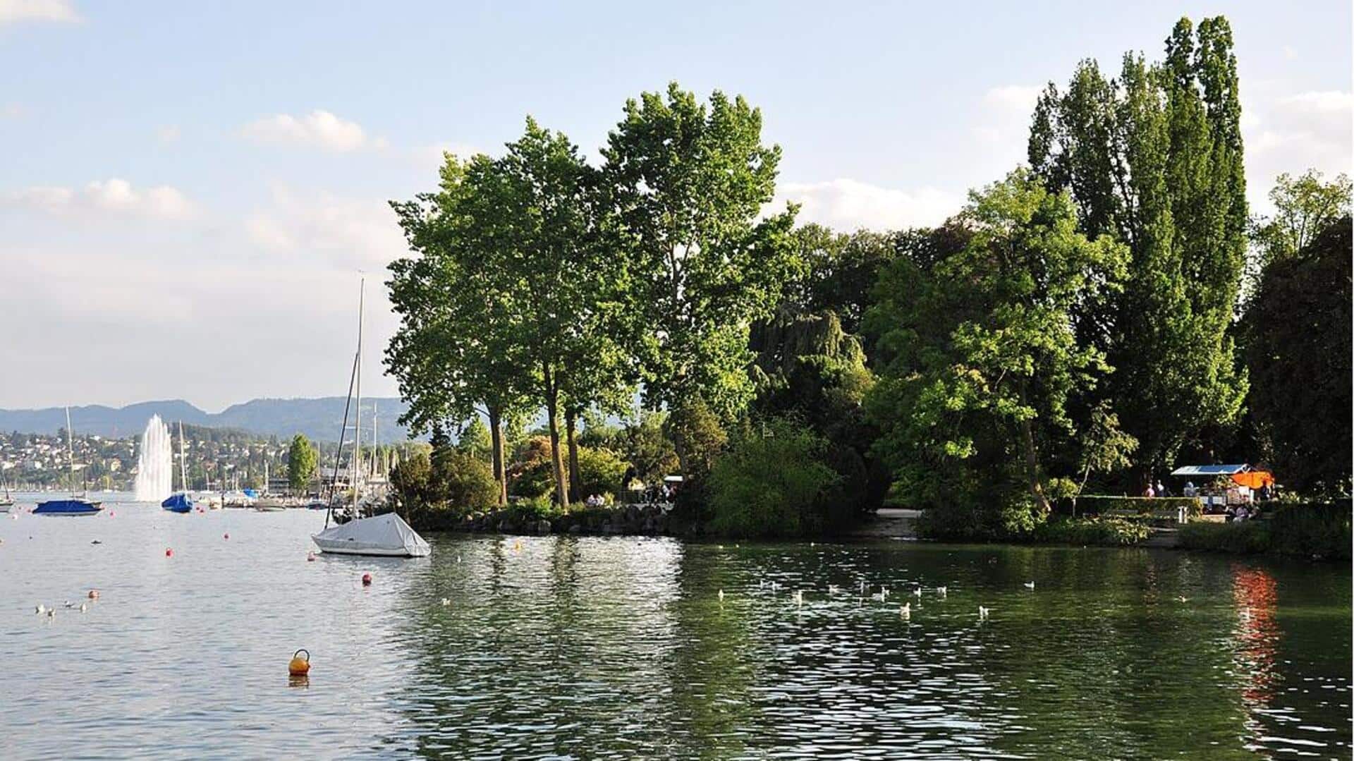 Menjelajahi Zurich: Taman dan Kebun Tersembunyi Terbaik