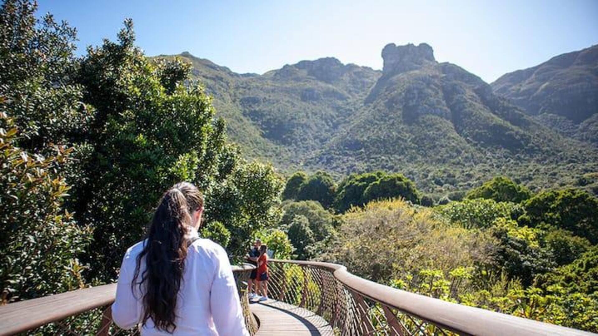 Menjelajahi Keajaiban Botani di Kirstenbosch, Afrika Selatan