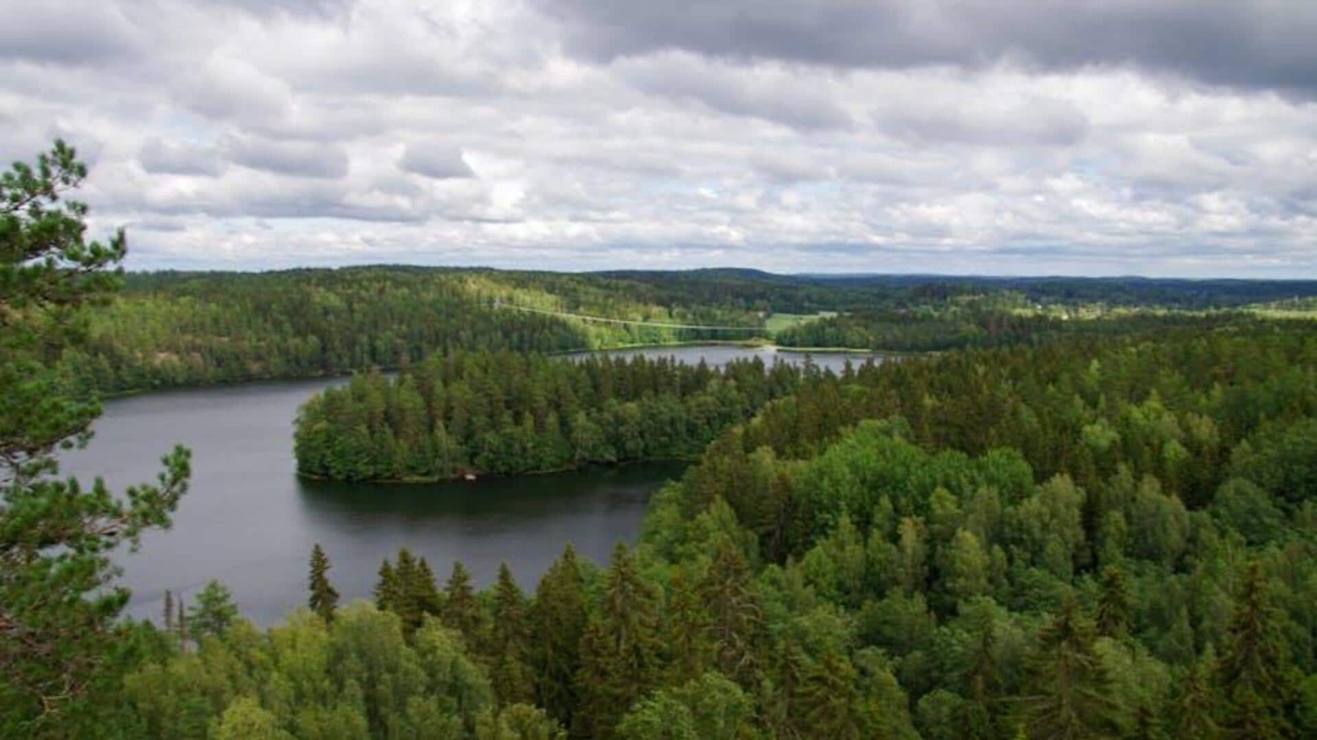 Menjelajahi Jalur Hutan Mistis Finlandia