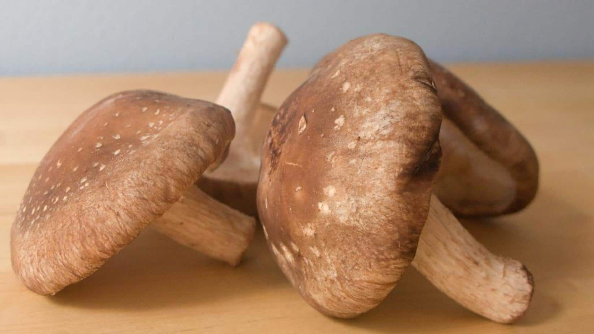 Manfaat Jamur Shiitake untuk kulit cerah