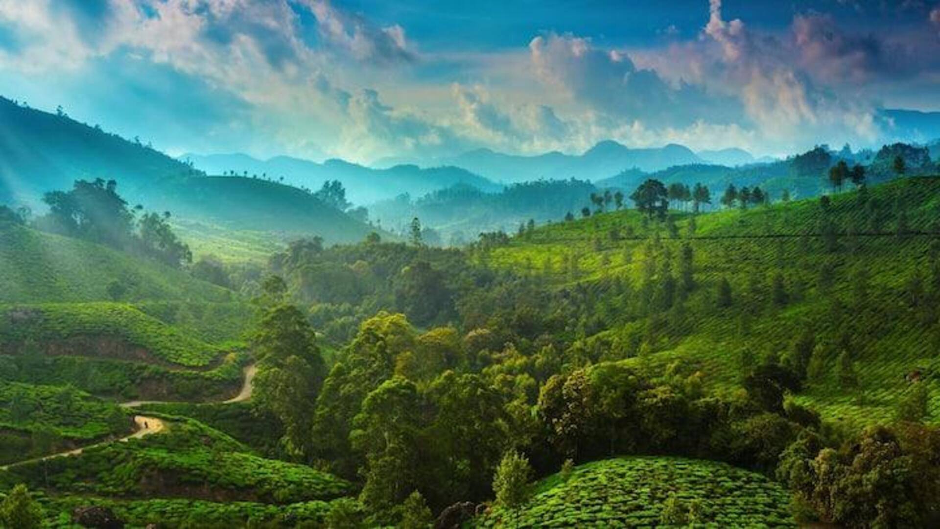 Munnar, India Adalah Surganya Kebun Teh Dan Ketenangan