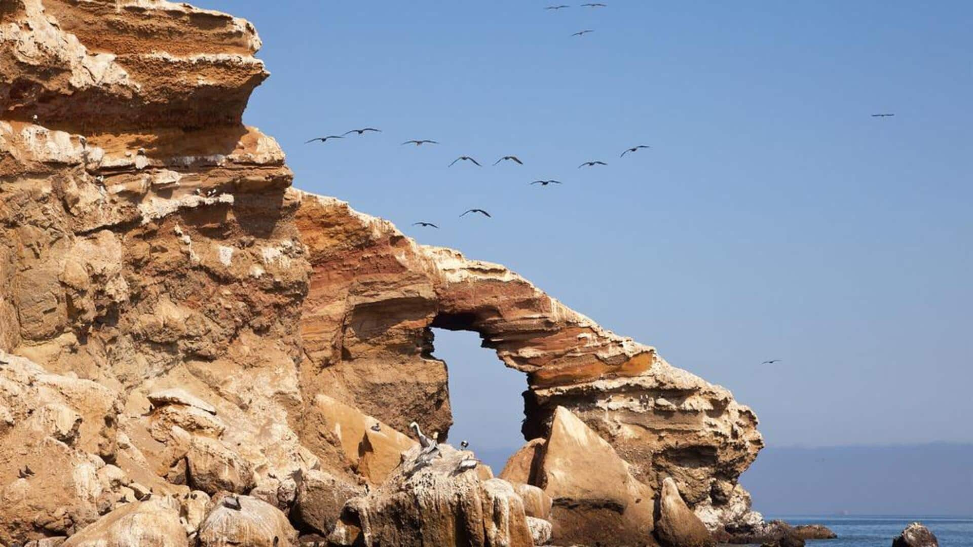 Menjelajahi keindahan Kepulauan Ballestas, Peru