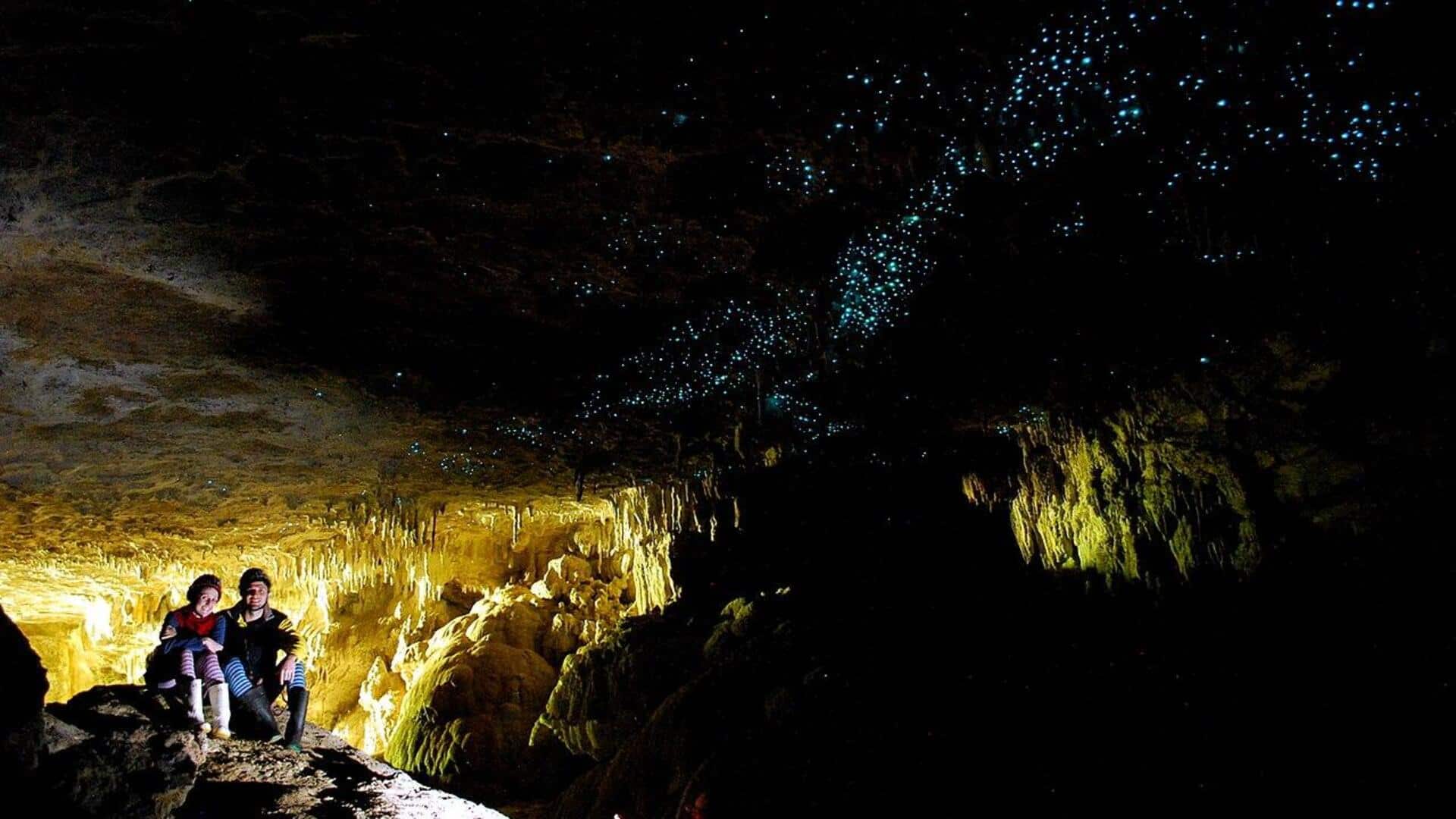 Menikmati Keindahan Gua Glowworm di Selandia Baru