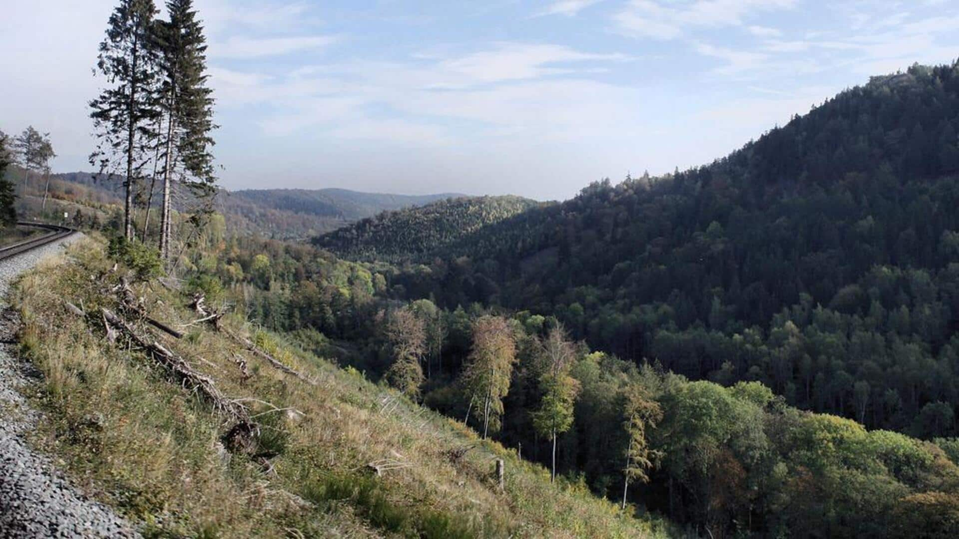 Menjelajahi keindahan Pegunungan Harz, Jerman