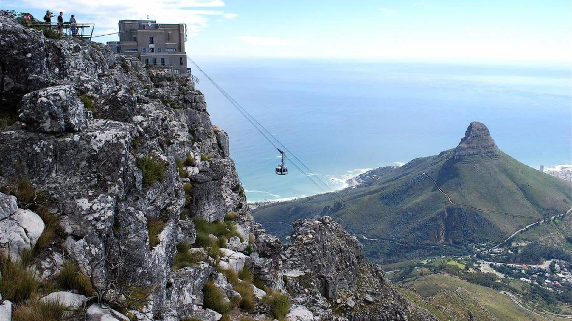 Menjelajahi keindahan Taman Nasional Table Mountain, Afrika Selatan