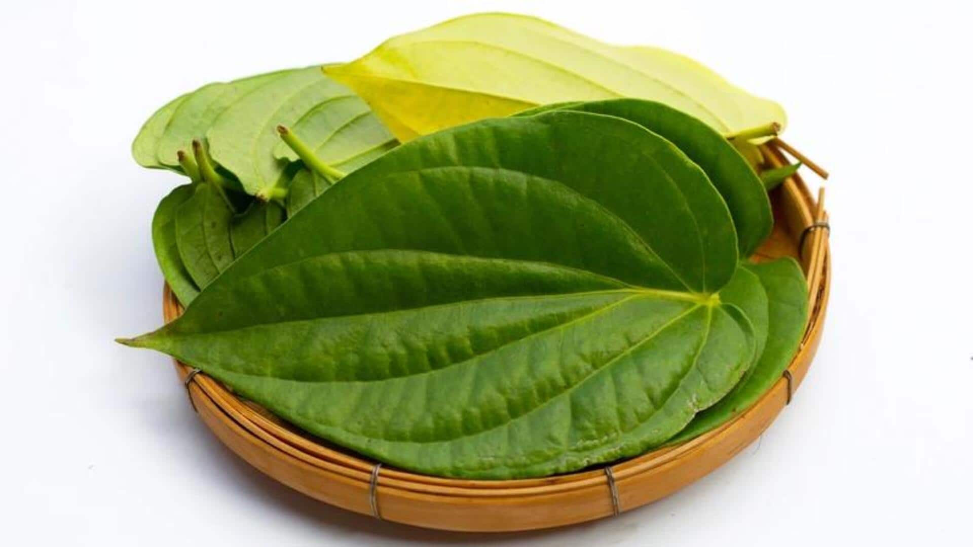 Cara Unik Menggunakan Daun Sirih dalam Beragam Masakan