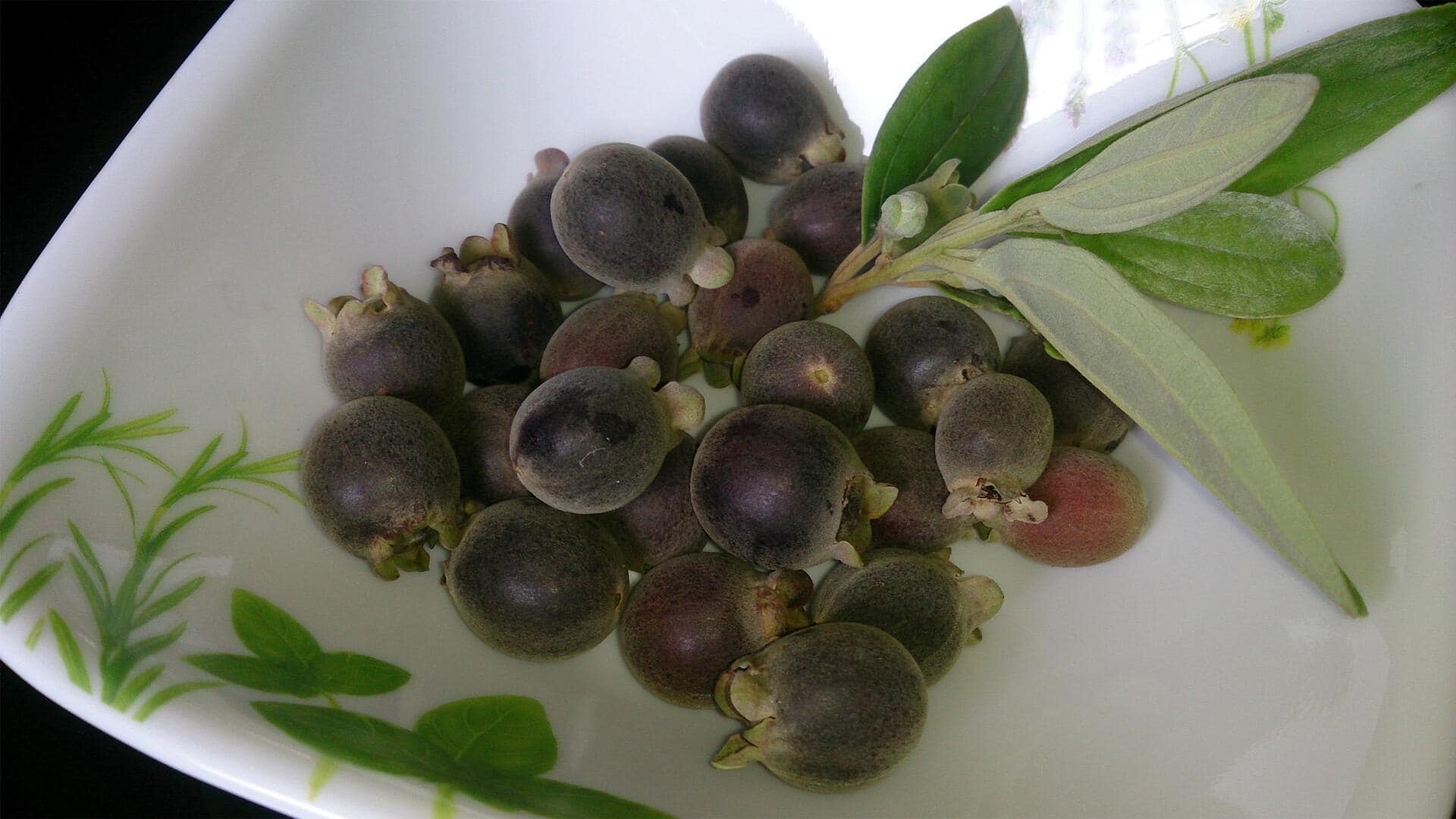 Lima Resep Unik Berbahan Dasar Buah Kemunting