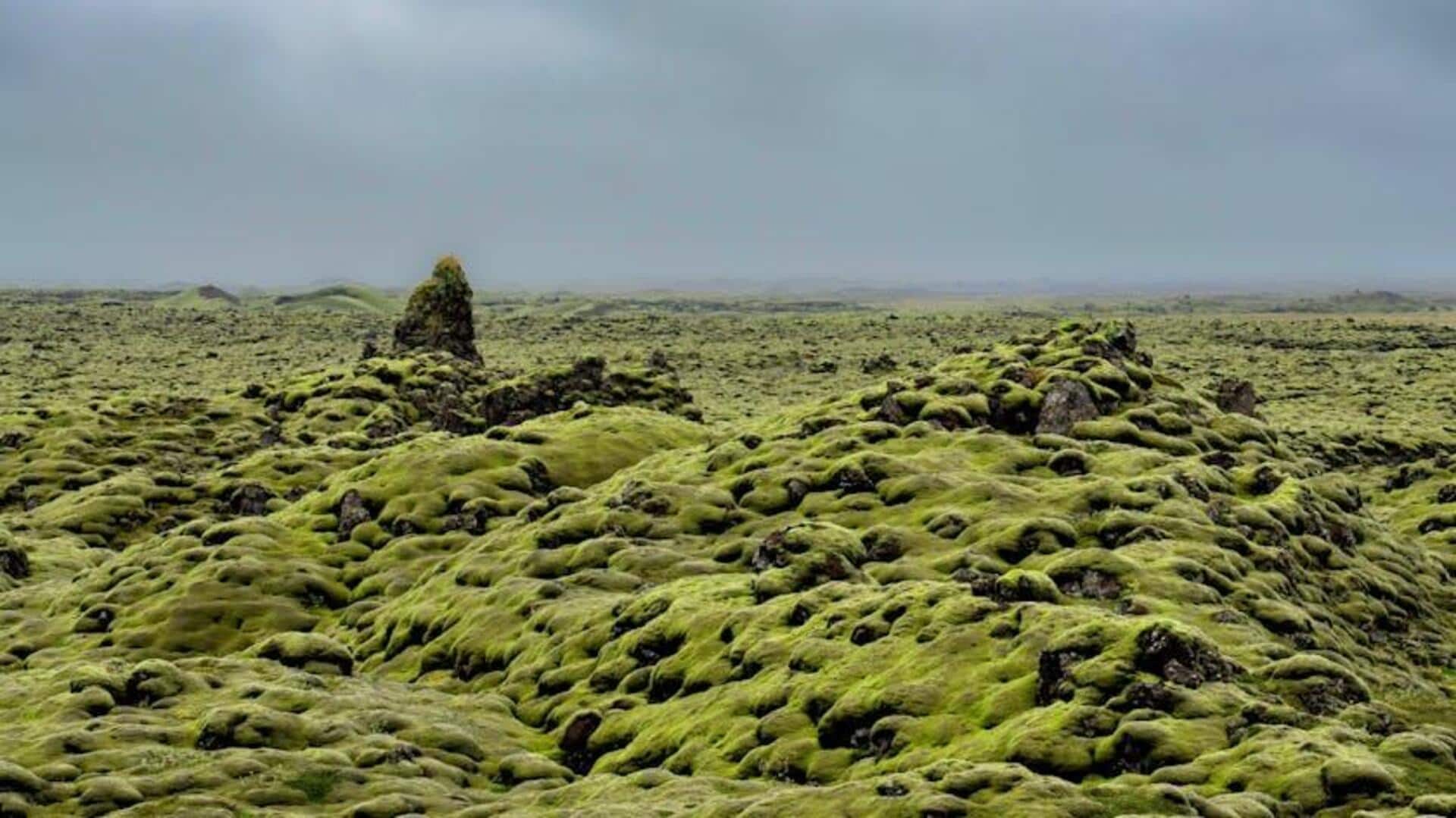 Formasi Vulkanik Menakjubkan di Islandia