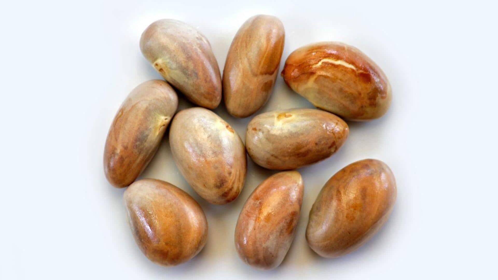 Menjelajahi Resep yang Tak Terduga dengan Bahan Dasar Biji Nangka
