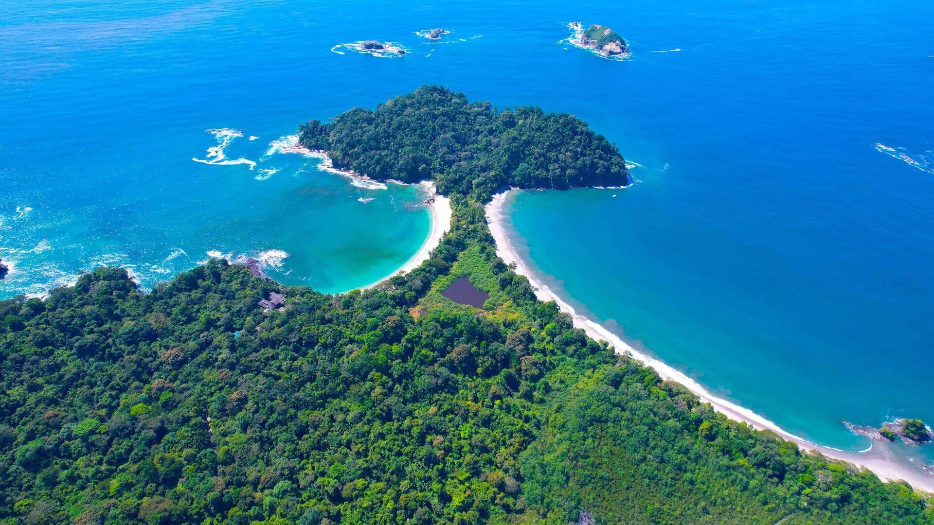 Menjelajahi Hutan Hujan Hijau di Taman Nasional Manuel Antonio, Kosta Rika