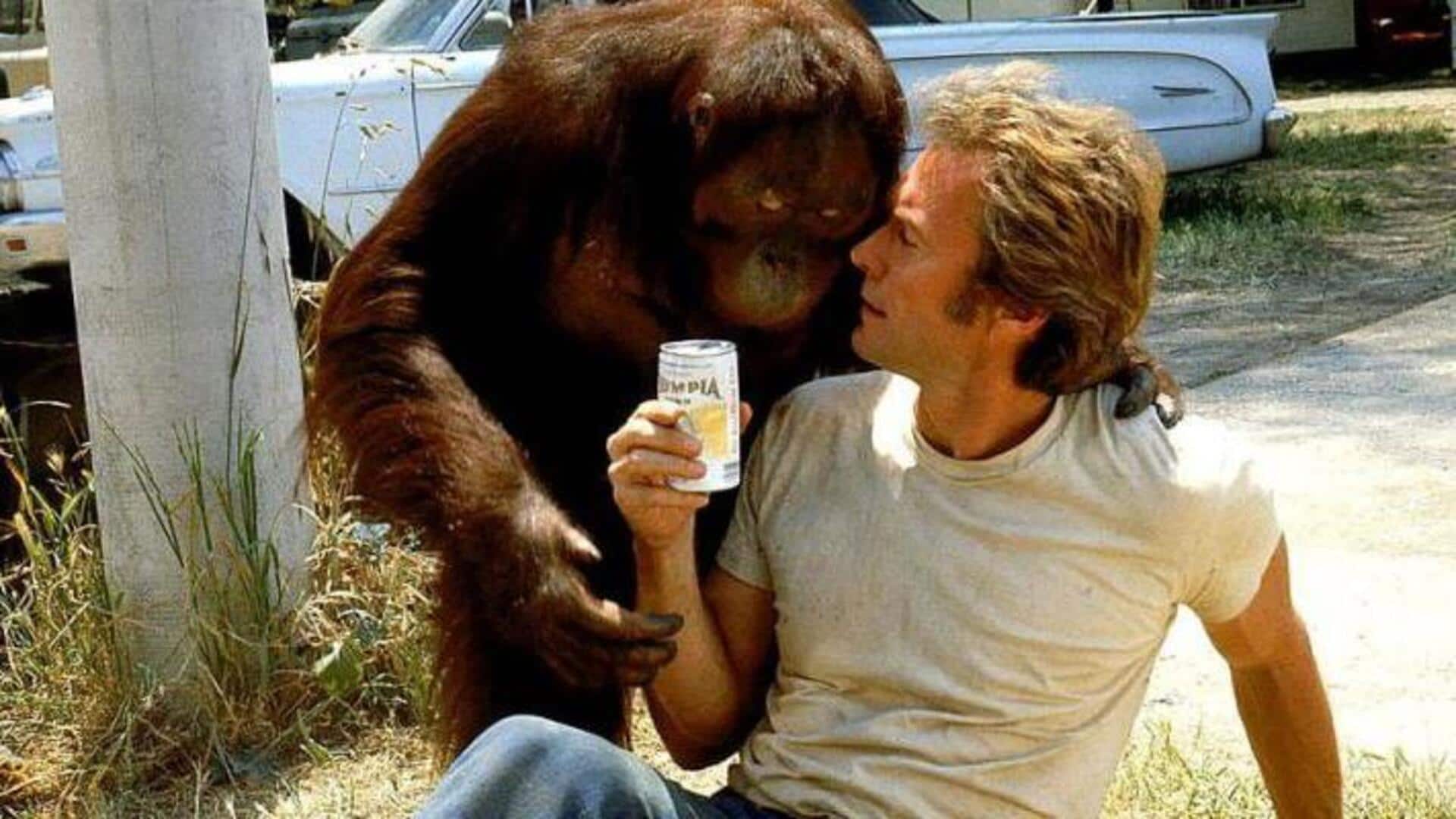 Hewan film terkenal: Kisah nyata mereka terungkap