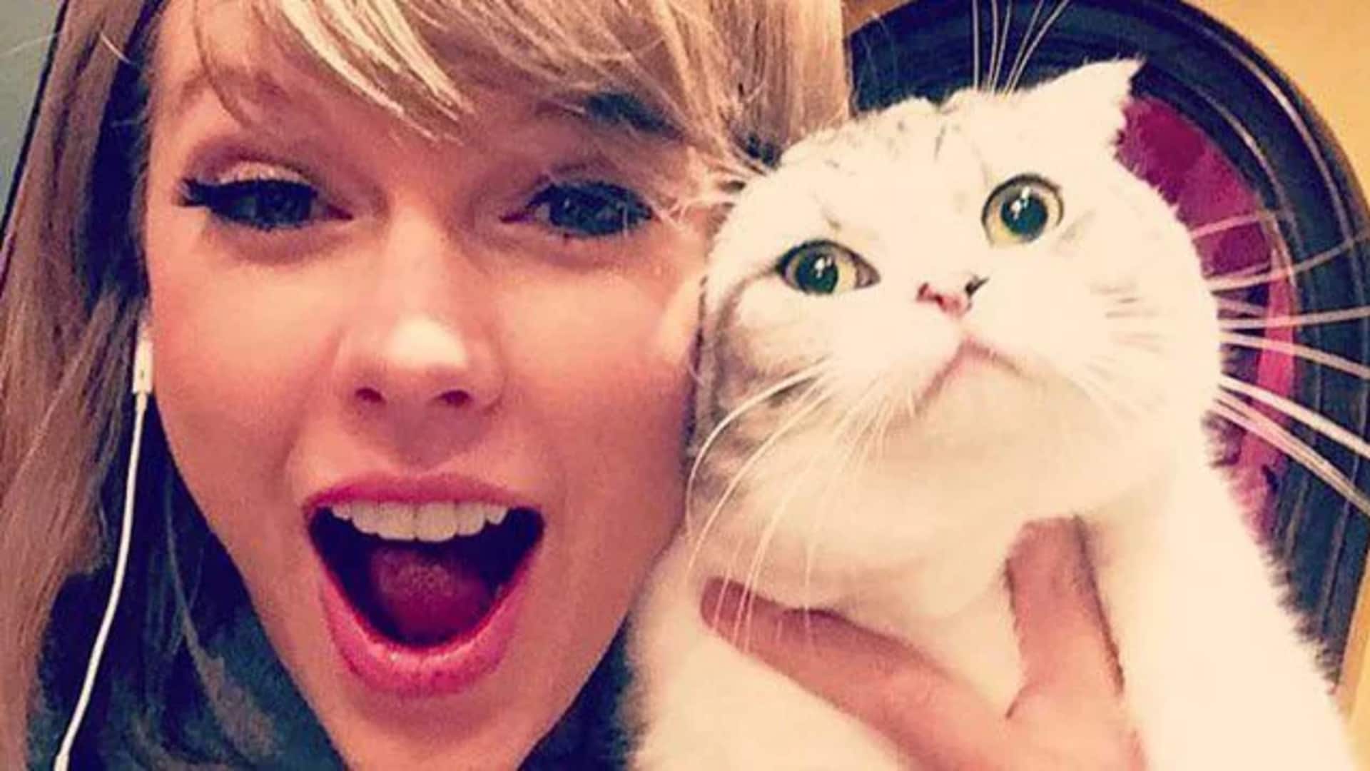 Bintang Hollywood dan hewan peliharaan unik mereka