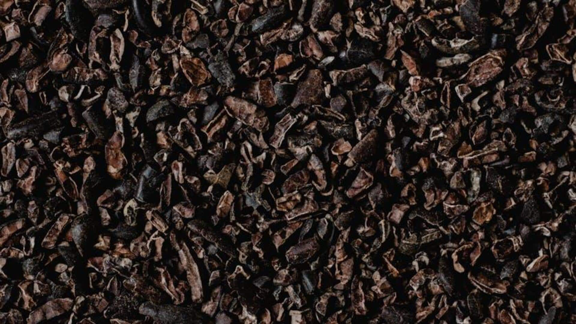 Kreasi Cacao Nib Kaya Antioksidan