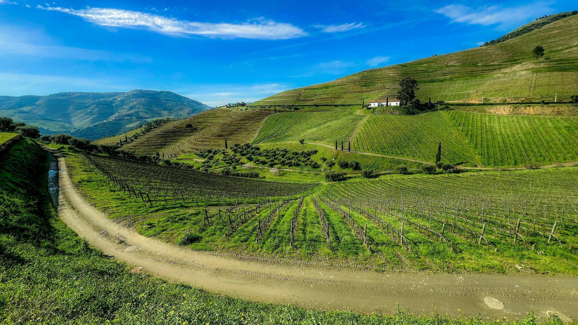 Perjalanan Kereta Indah di Lembah Douro, Portugal