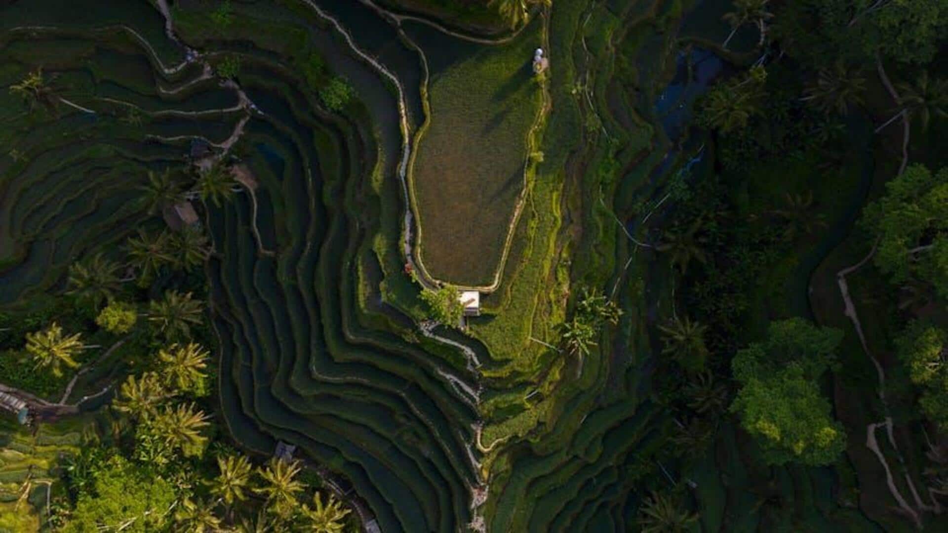 Menjelajahi Destinasi Terasering Padi di Indonesia Menjelajahi Destinasi Terasering Padi di Indonesia