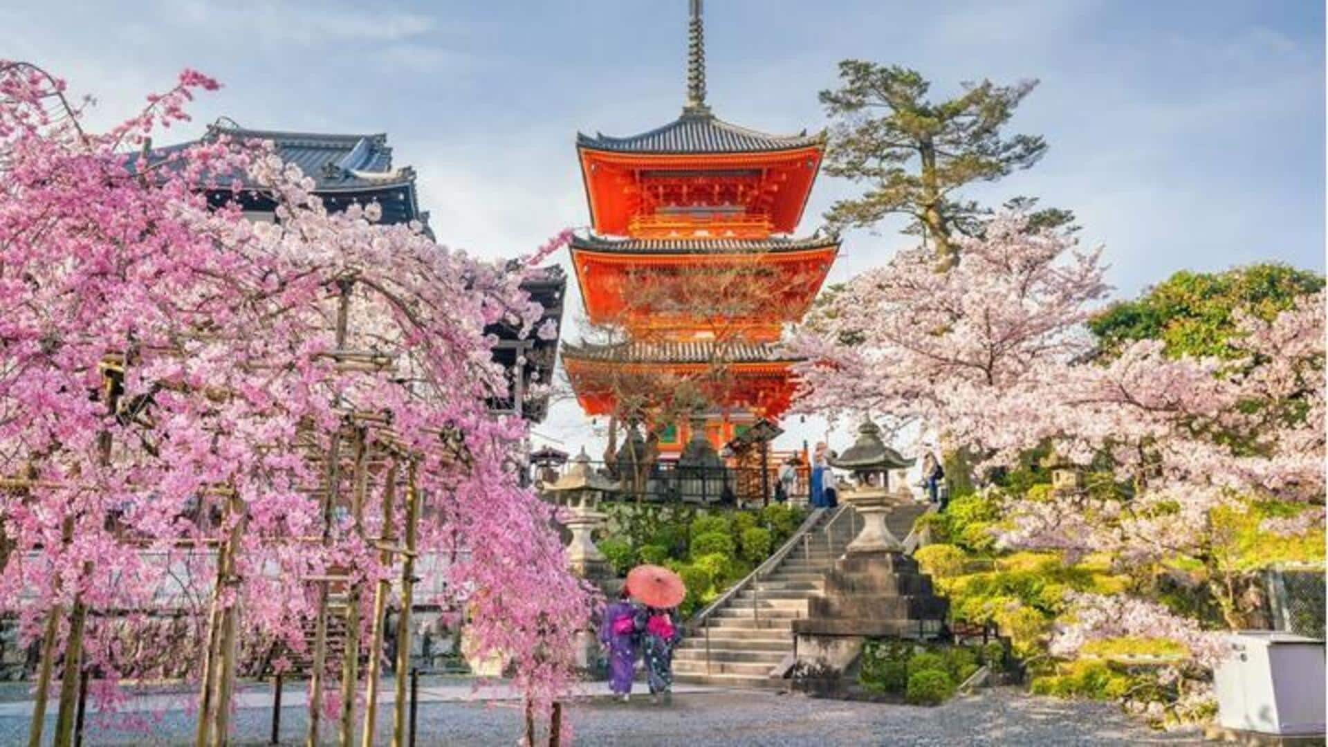 Kemegahan bunga sakura di Kyoto: Pemandangan musiman yang layak untuk disaksikan 