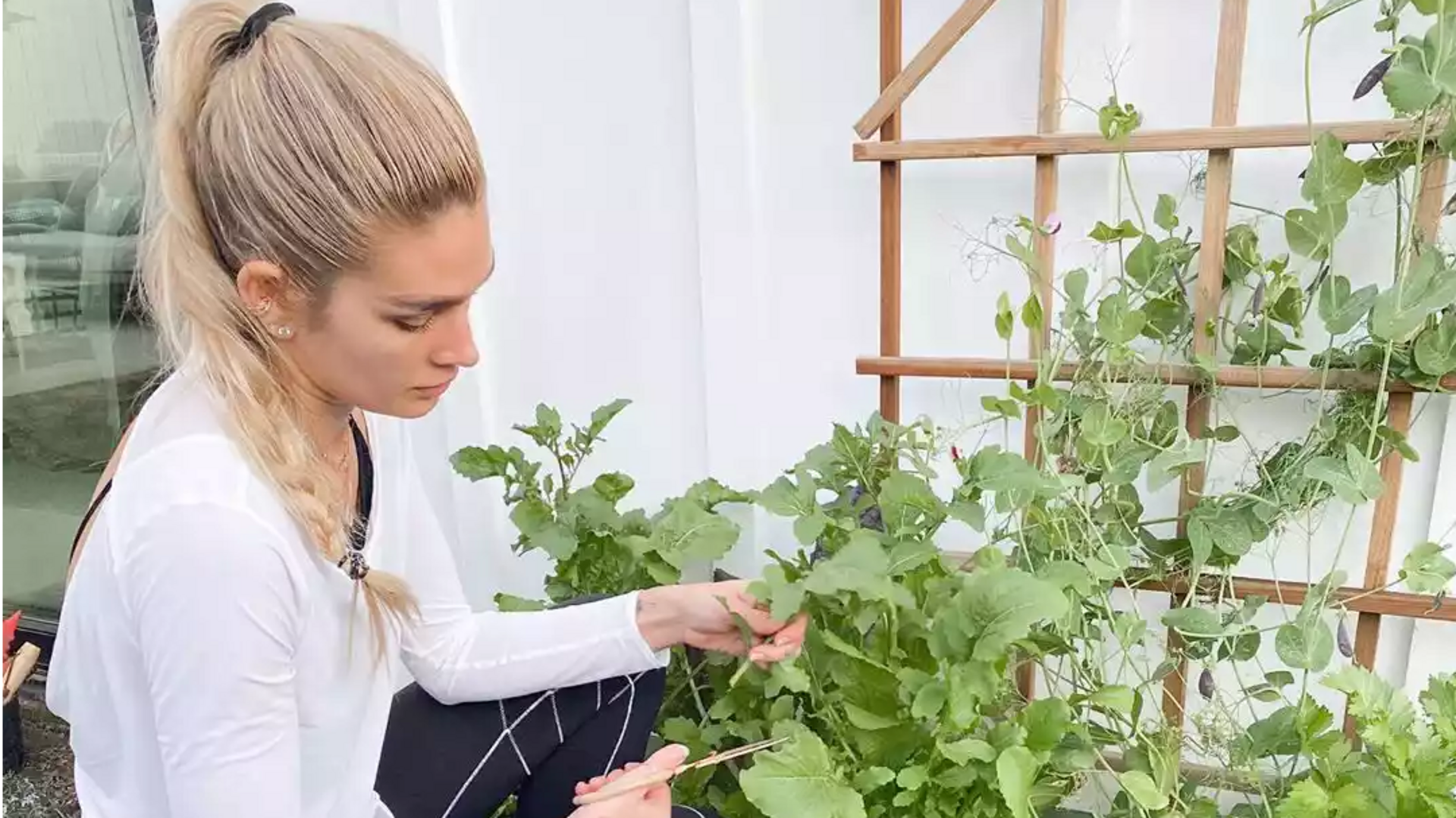 Hobi tak terduga selebriti Hollywood untuk keberlanjutan global