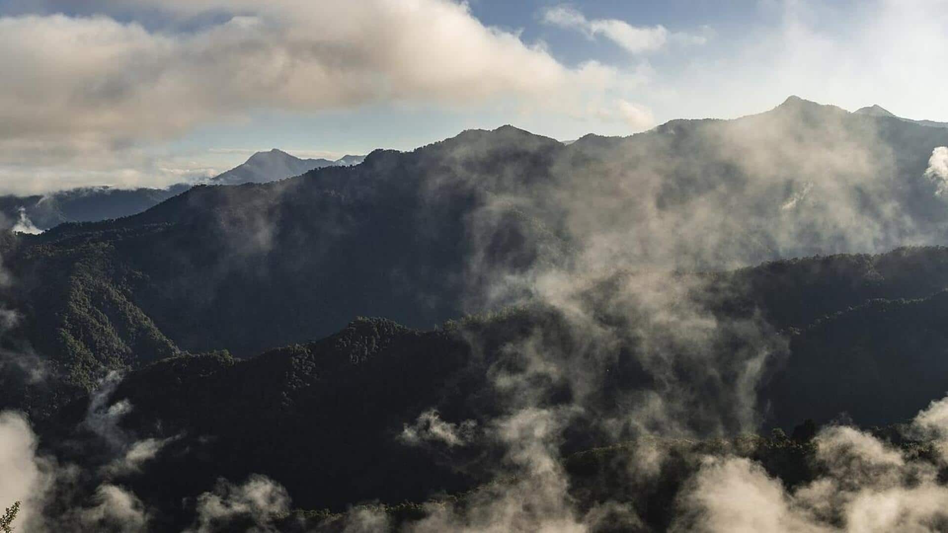 Menjelajahi Hutan Awan: Eksplorasi Kekayaan Alam Ekuador