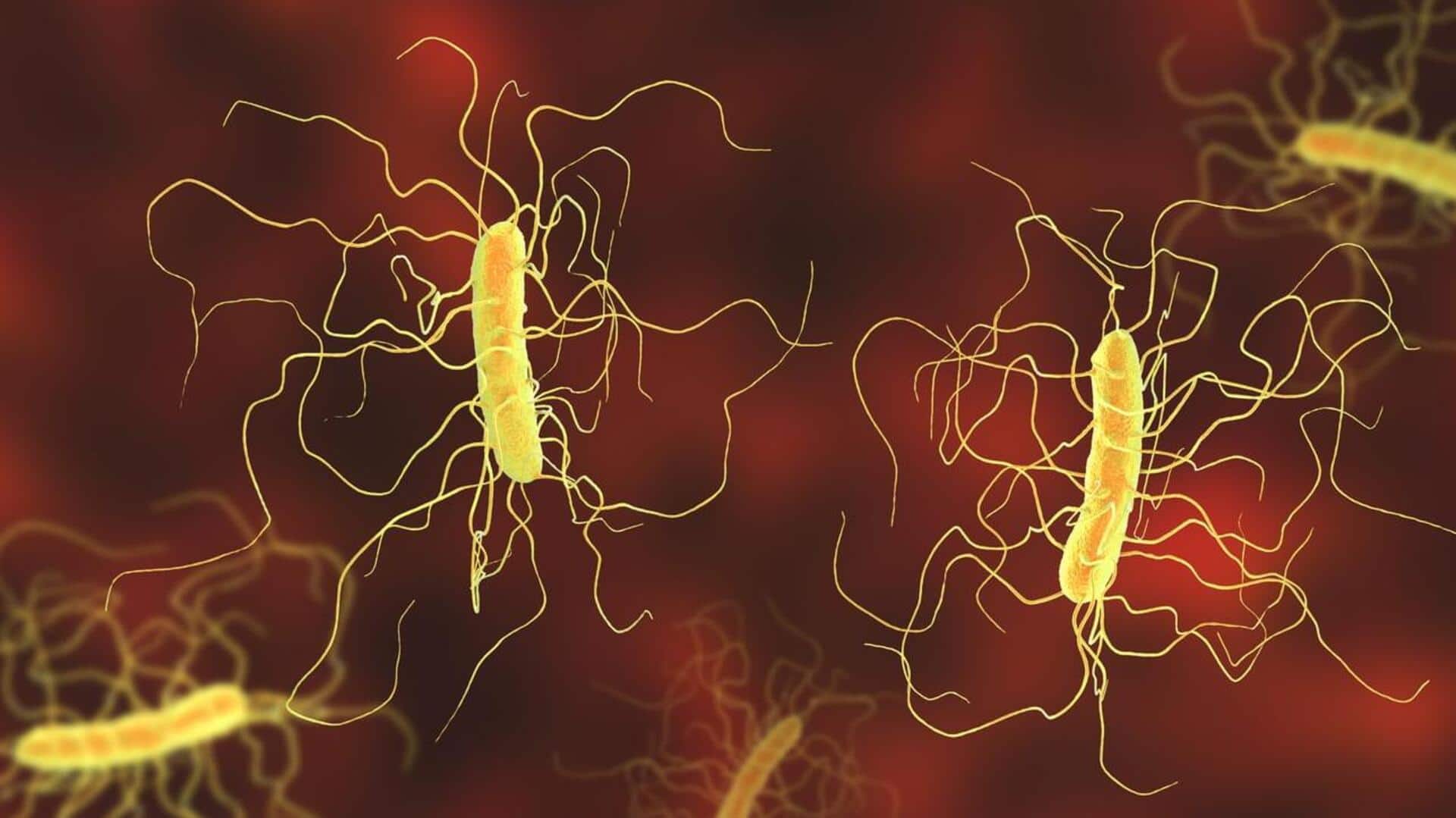 Lima Bakteri yang Menantang Penelitian Medis Modern