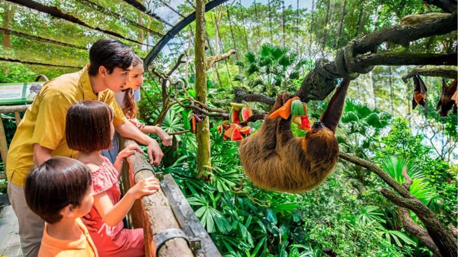 Berinteraksi dengan satwa liar di Kebun Binatang Singapura: Hal-hal yang dapat dilakukan 