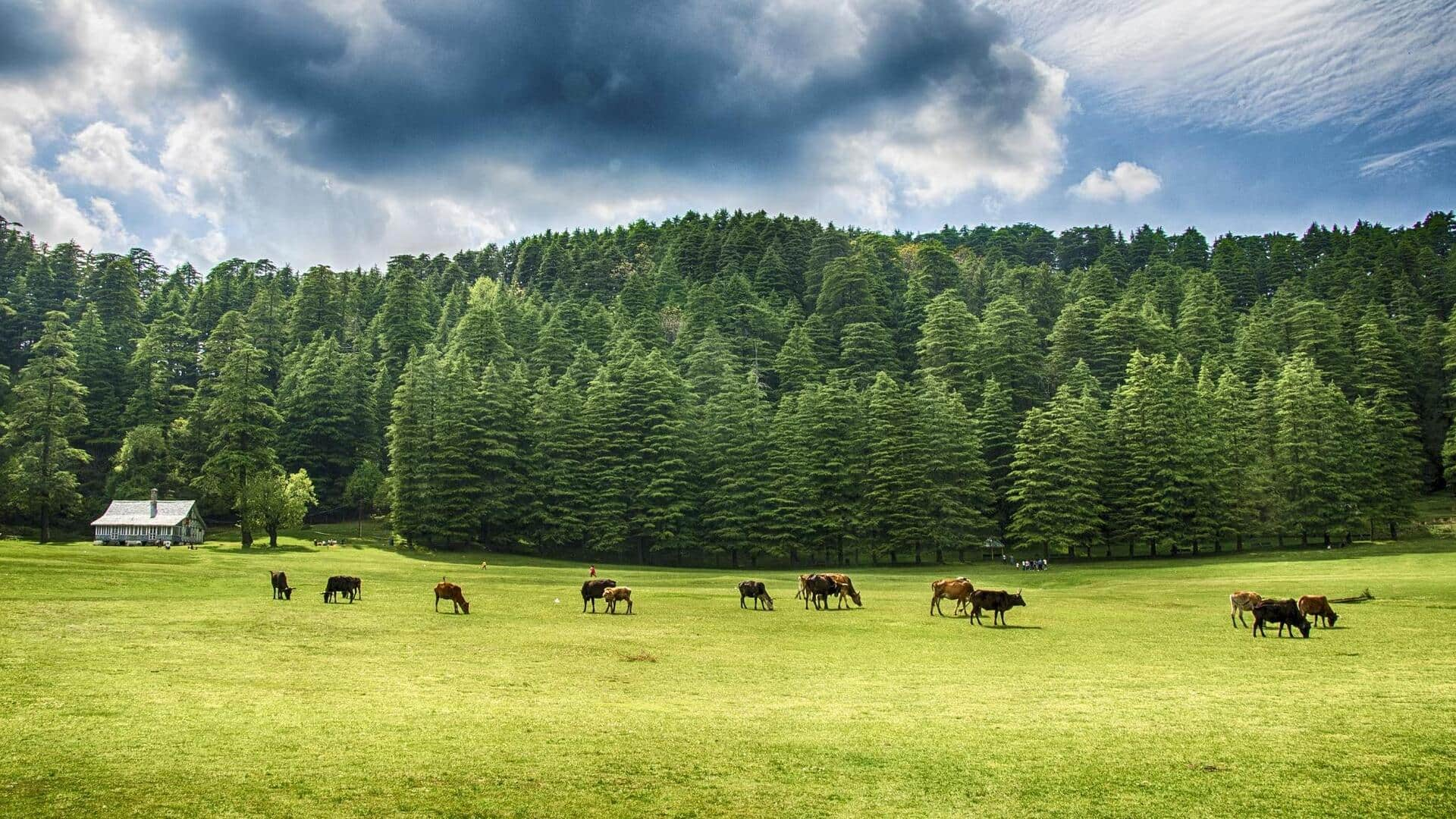 5 Kawasan Perbukitan Yang Tenang Di Himachal Pradesh