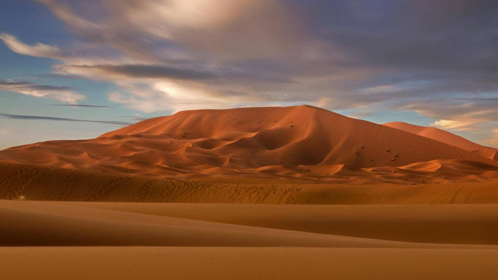 Cara Tak Terduga dari Bukit Pasir dalam Mencegah Erosi Tanah