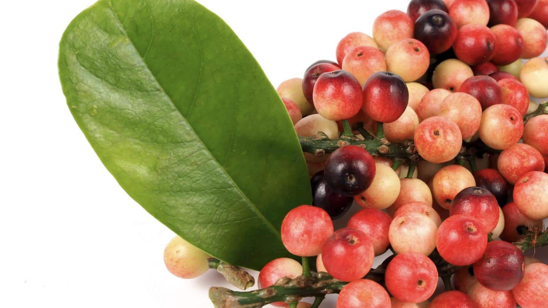 Mencicipi Variasi Unik dari Selai Buah Buni