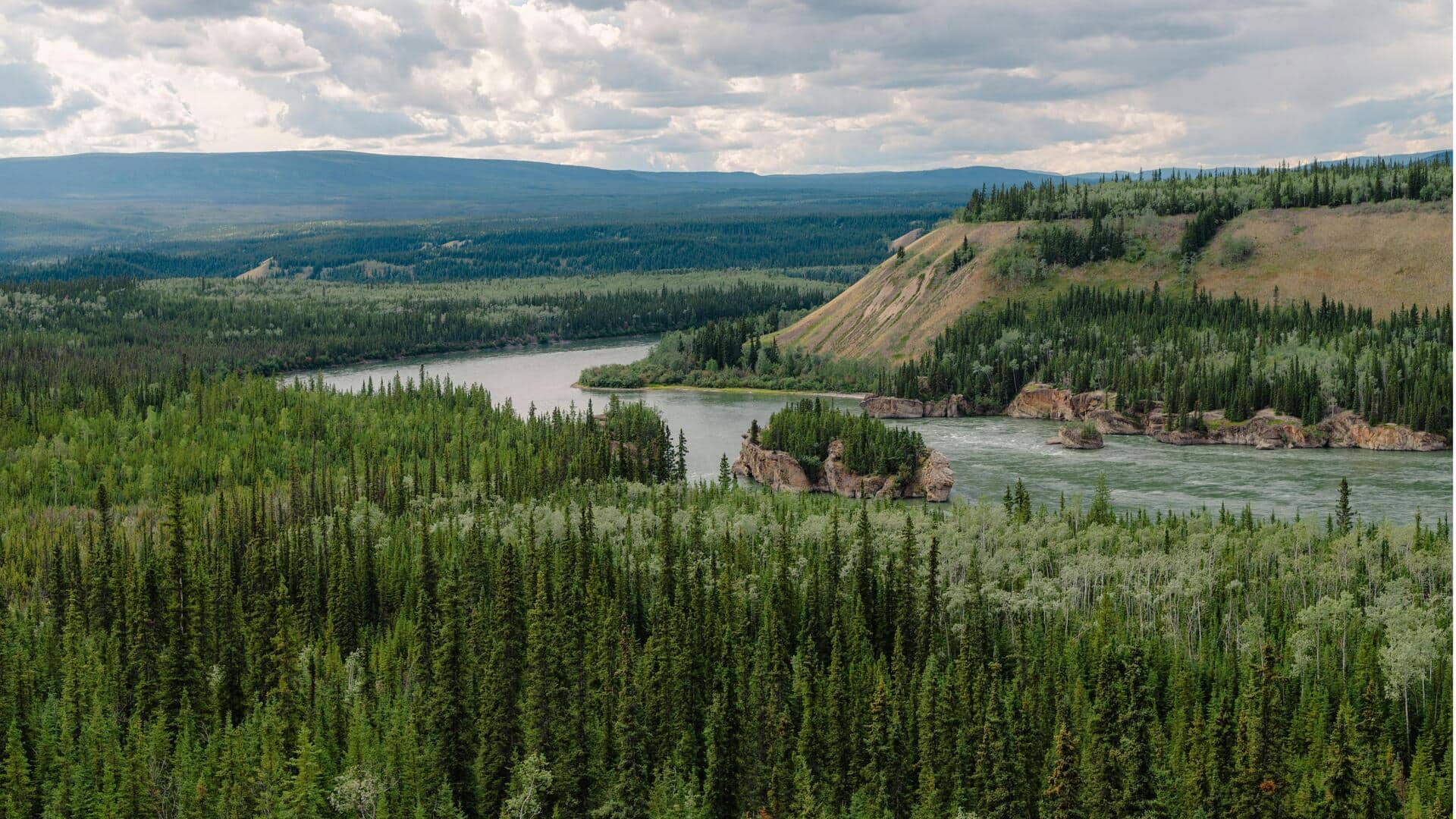 Hutan Boreal Kanada: Pelarian Alam yang Menakjubkan