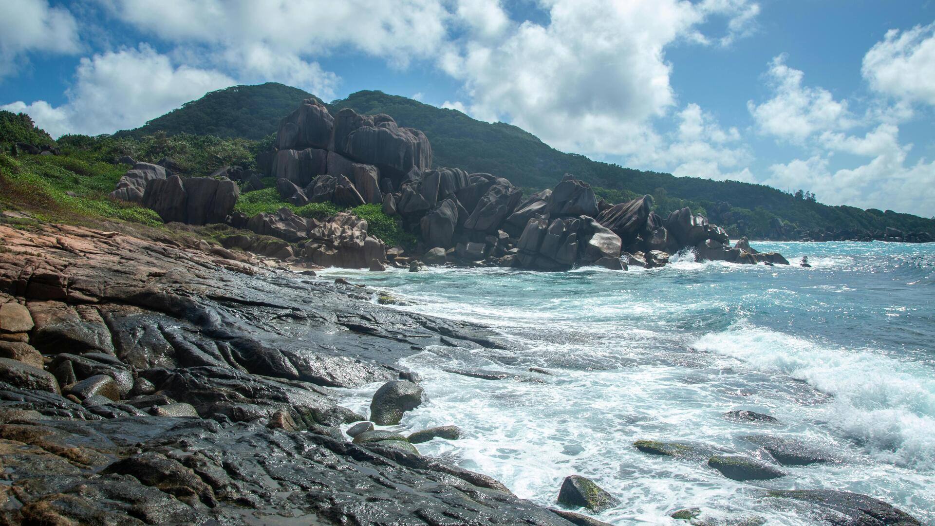 Menjelajahi Terumbu Karang Seychelles: Panduan Impian Snorkeler