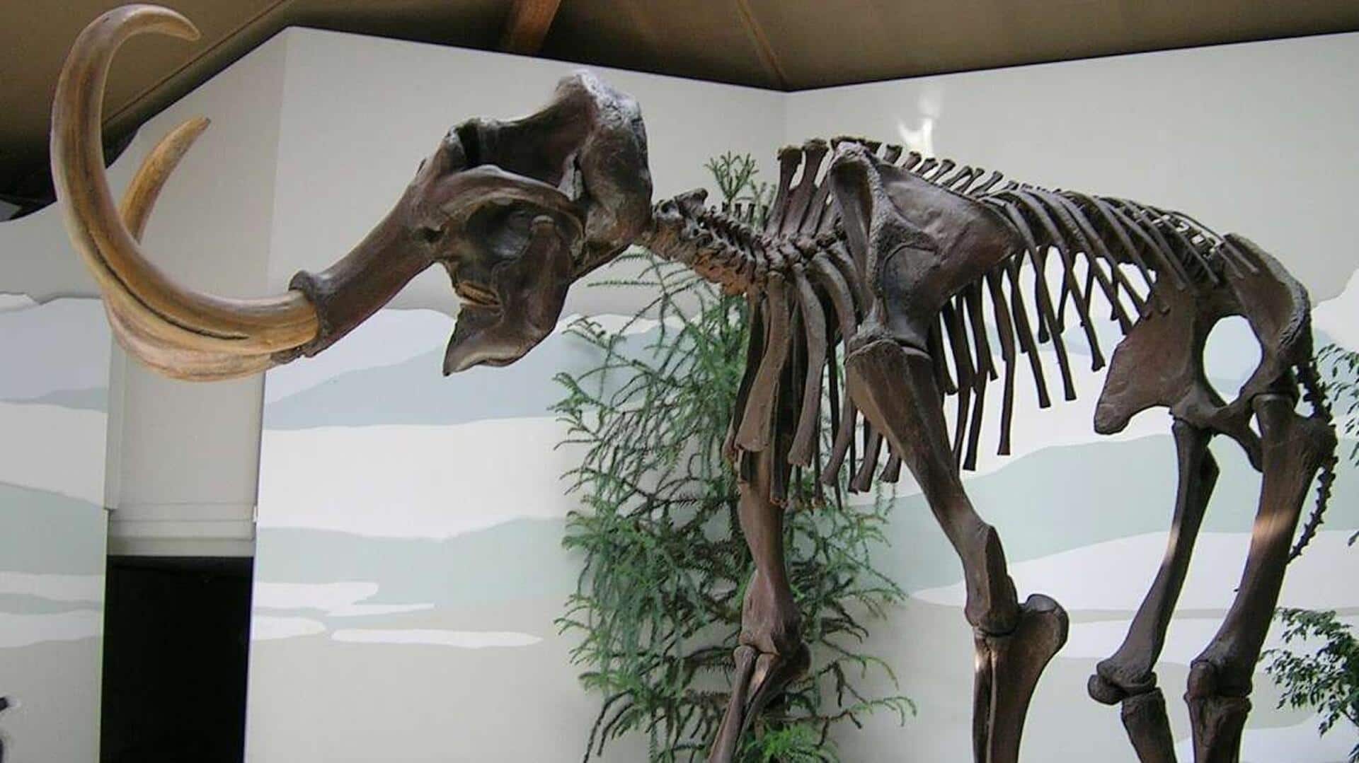 Lima Hewan Punah yang Kembali Hidup melalui De-eksistensi