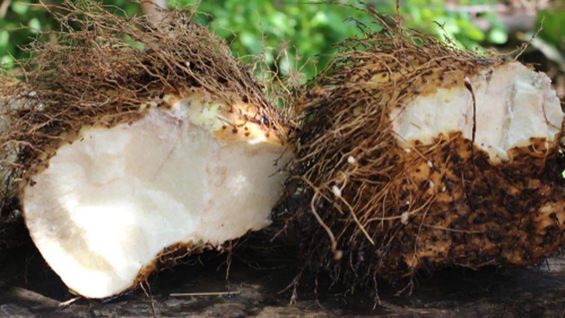 Lima Resep Kreatif dari Indonesia dengan Bahan Dasar Ubi Gadung